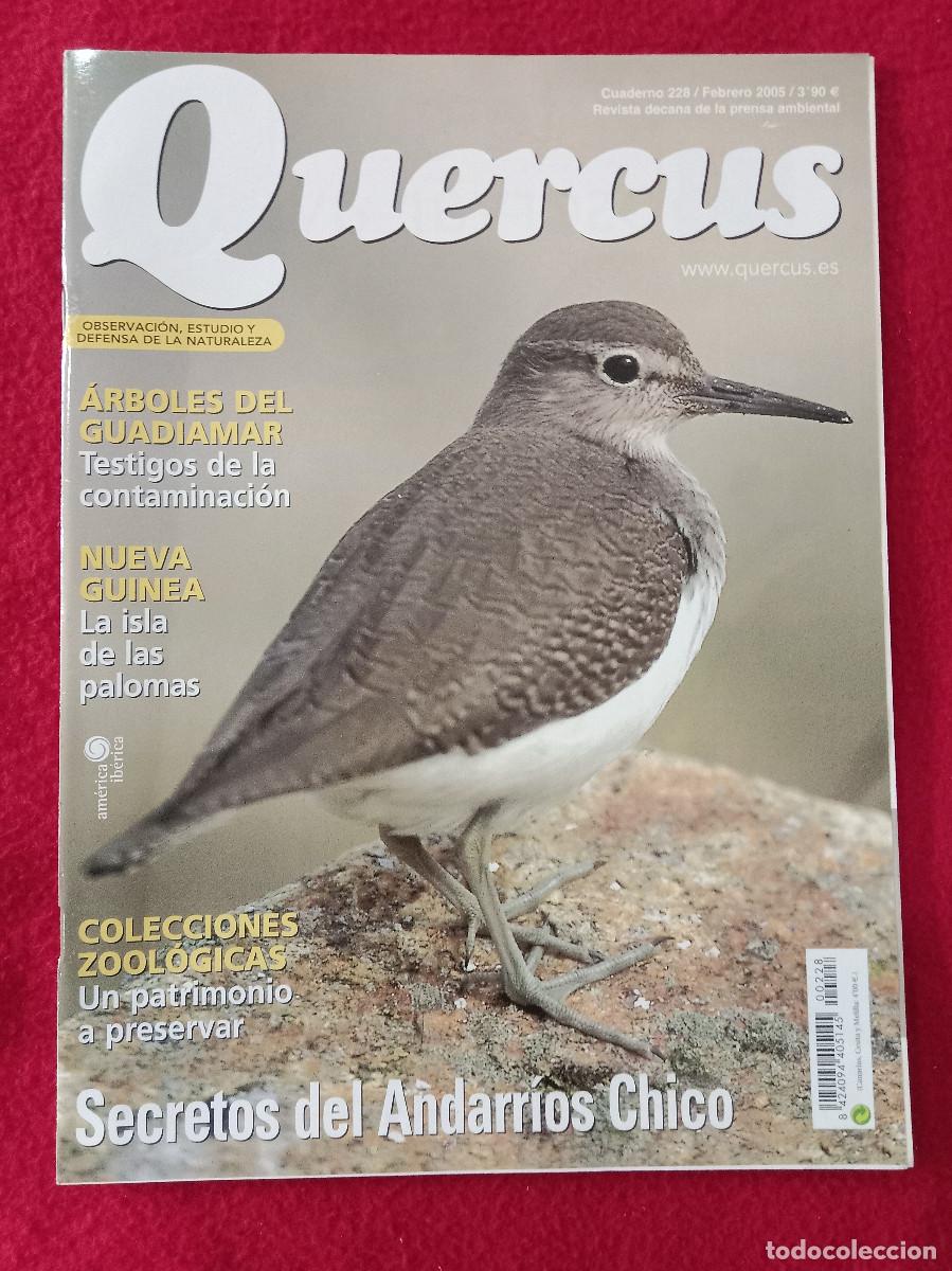 Coleccionismo de Revistas y Peri&oacute;dicos: Quercus - Secretos del Andarr&iacute;os Chico - Cuaderno 228 - Febrero de 2005