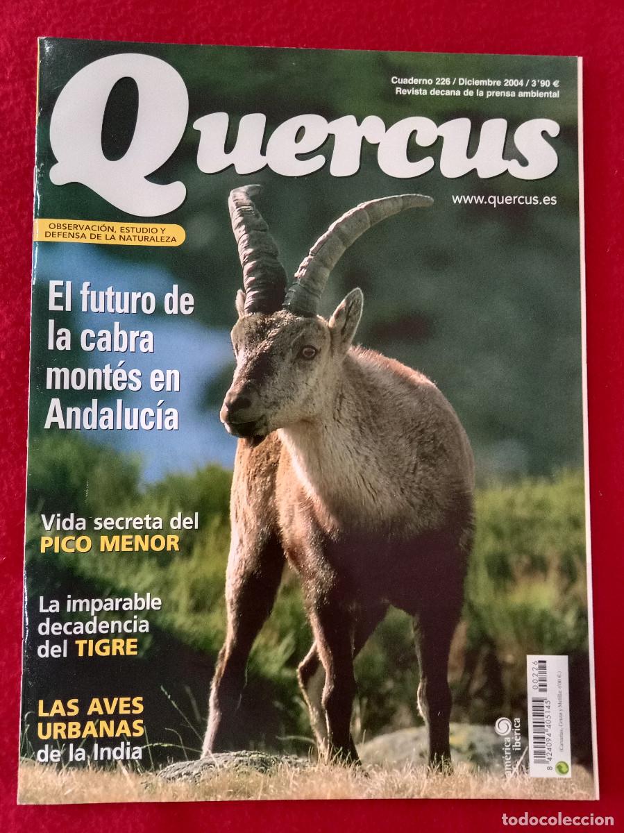 Coleccionismo de Revistas y Peri&oacute;dicos: Quercus - El Futuro de la Cabra Mont&eacute;s en Andaluc&iacute;a - Cuaderno 226 - Diciembre de 2004