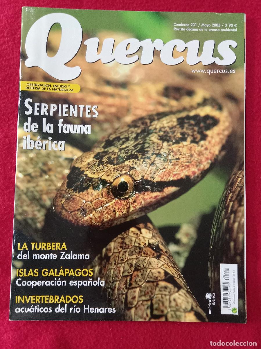 Collezionismo di Riviste e Giornali: Quercus - Serpientes de la Fauna Ib&eacute;rica - Cuaderno 231 - Mayo de 2005