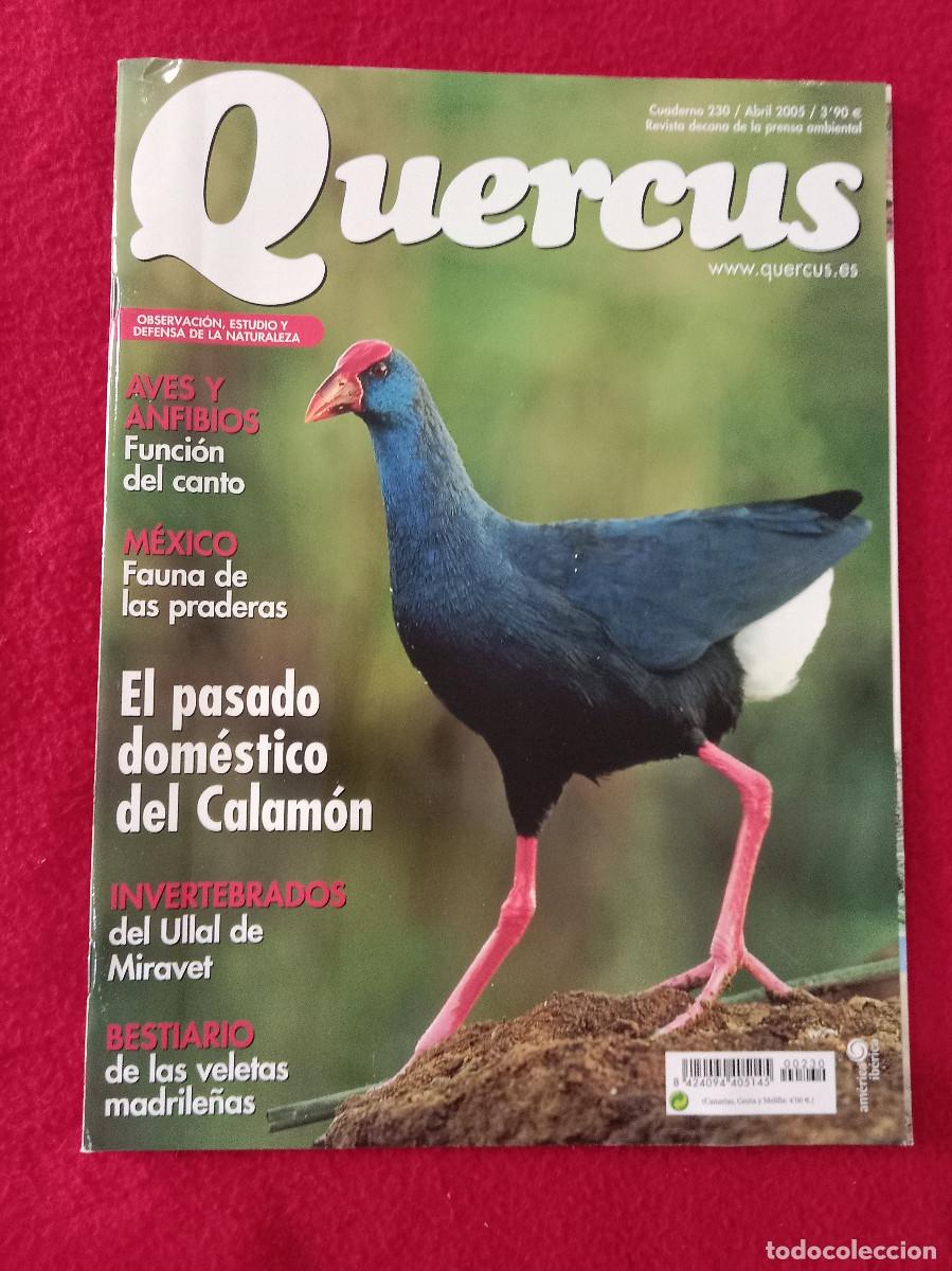Collezionismo di Riviste e Giornali: Quercus - Aves y Anfibios, Funci&oacute;n del Canto - Cuaderno 230 - Abril de 2005