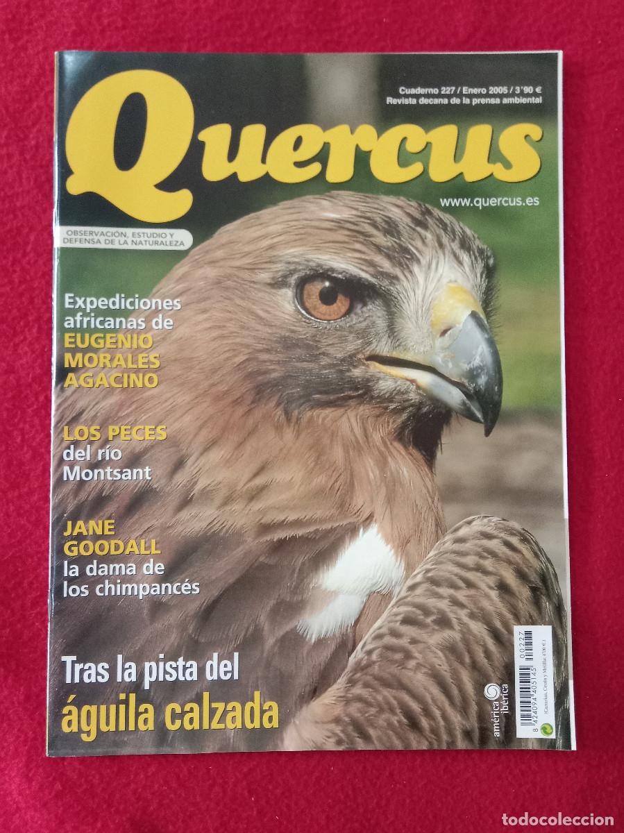 Collezionismo di Riviste e Giornali: Quercus - Tras la pista del &Aacute;guila Calzada - Cuaderno 227 - Enero de 2005