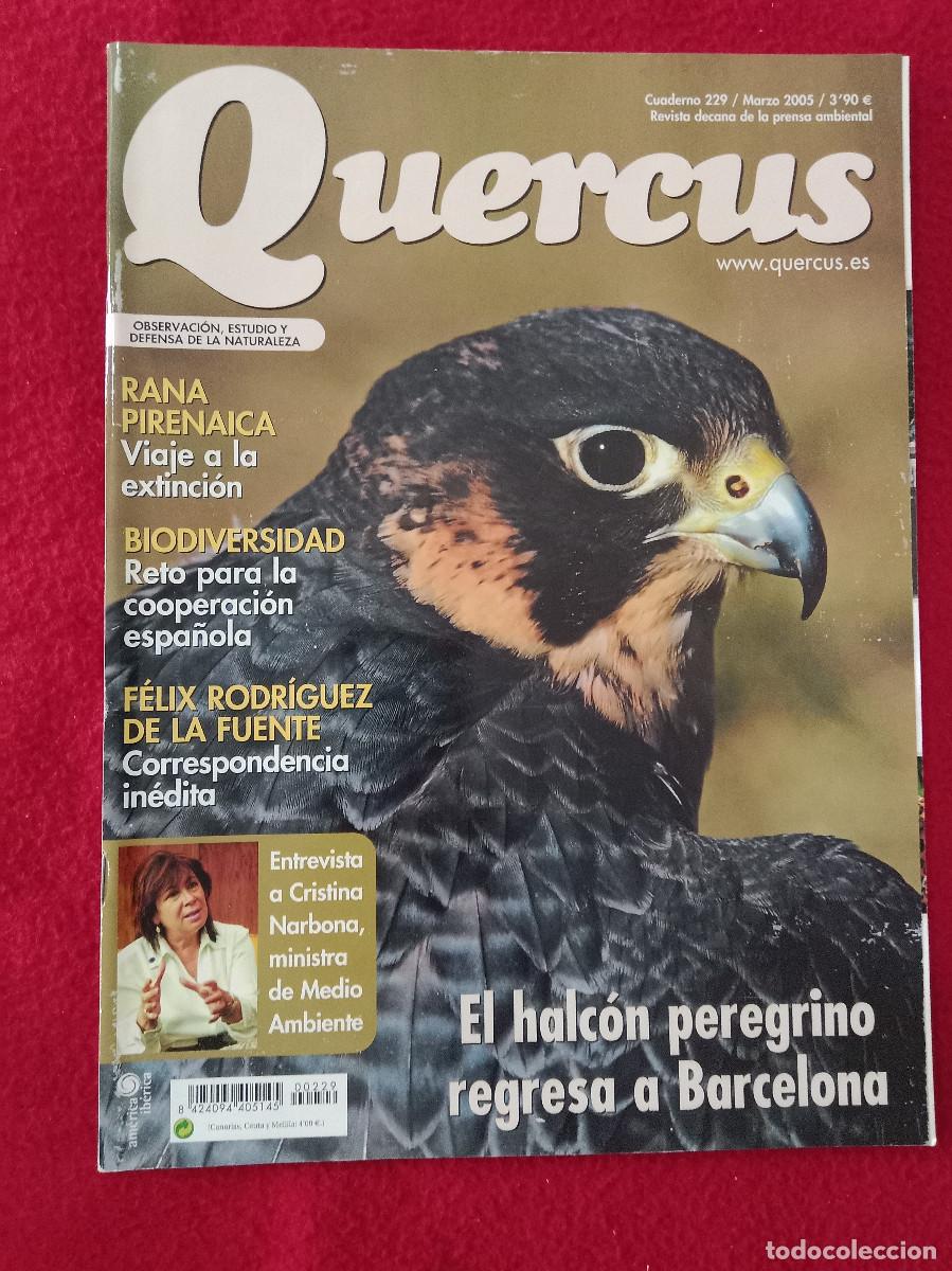 Coleccionismo de Revistas y Peri&oacute;dicos: Quercus - El Halc&oacute;n Peregrino Regresa a Barcelona - Cuaderno 229 - Marzo de 2005