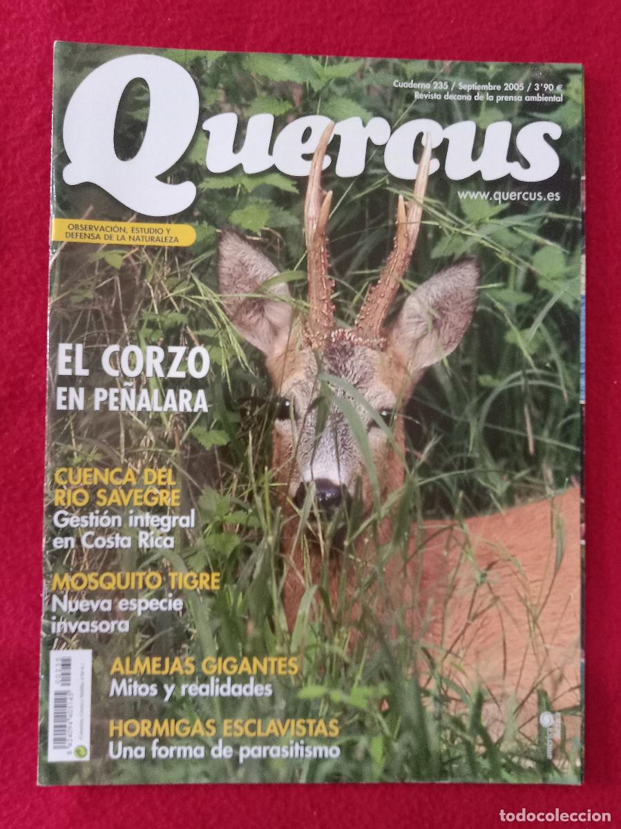 Collection Magazines and Newspapers: Quercus - El Corzo en Pe&ntilde;alara - Cuaderno 235 - Septiembre de 2005