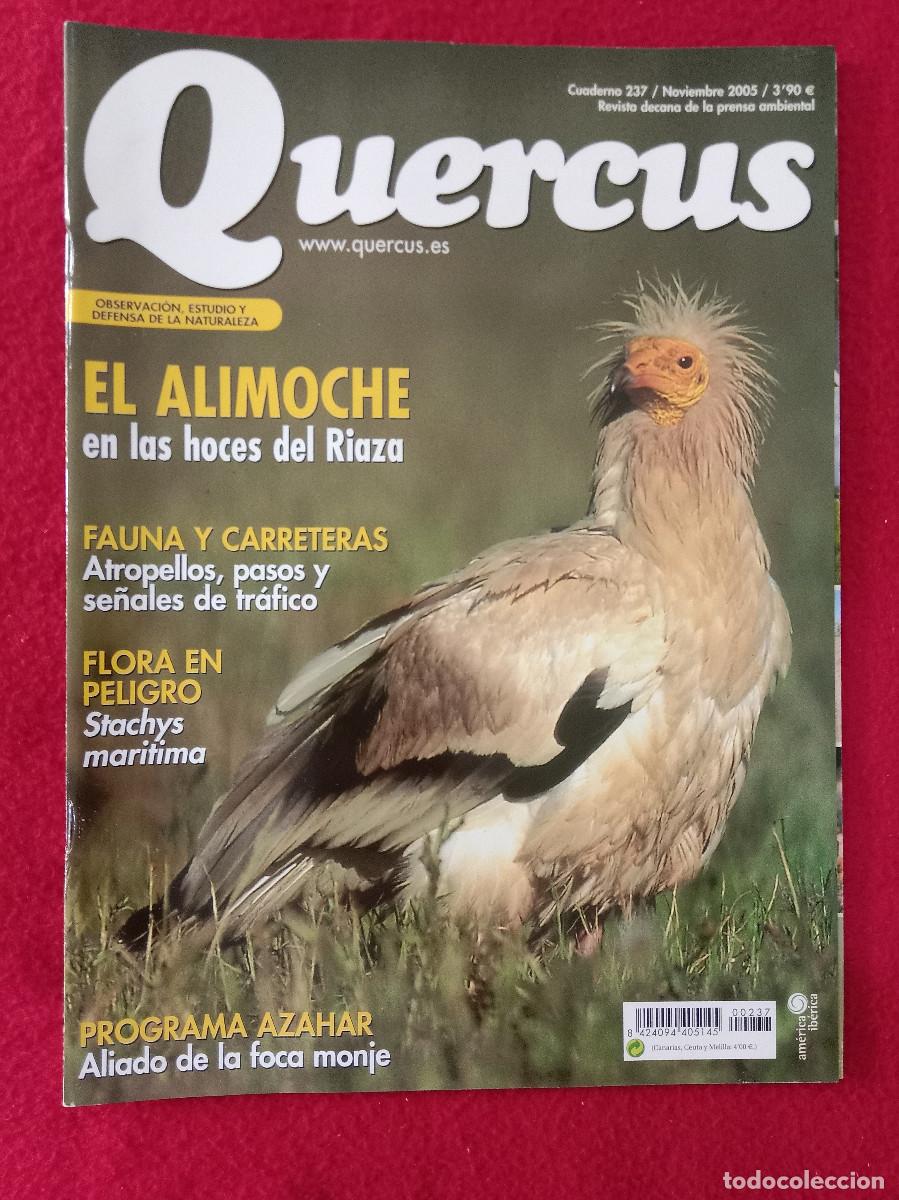 Coleccionismo de Revistas y Peri&oacute;dicos: Quercus - El Alimoche en las hoces del Riaza - Cuaderno 237 - Noviembre de 2005
