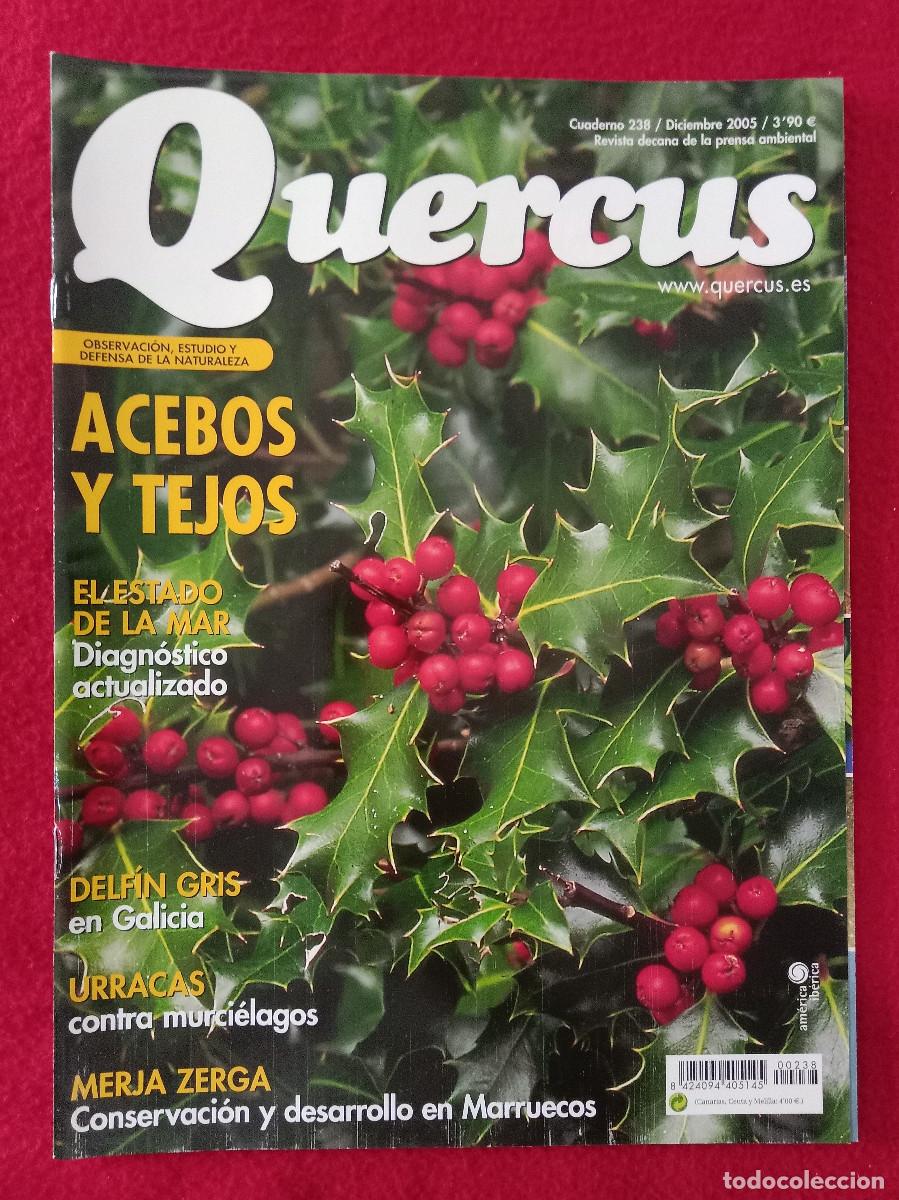 Collezionismo di Riviste e Giornali: Quercus - Acebos y Tejos - Cuaderno 238 - Diciembre de 2005