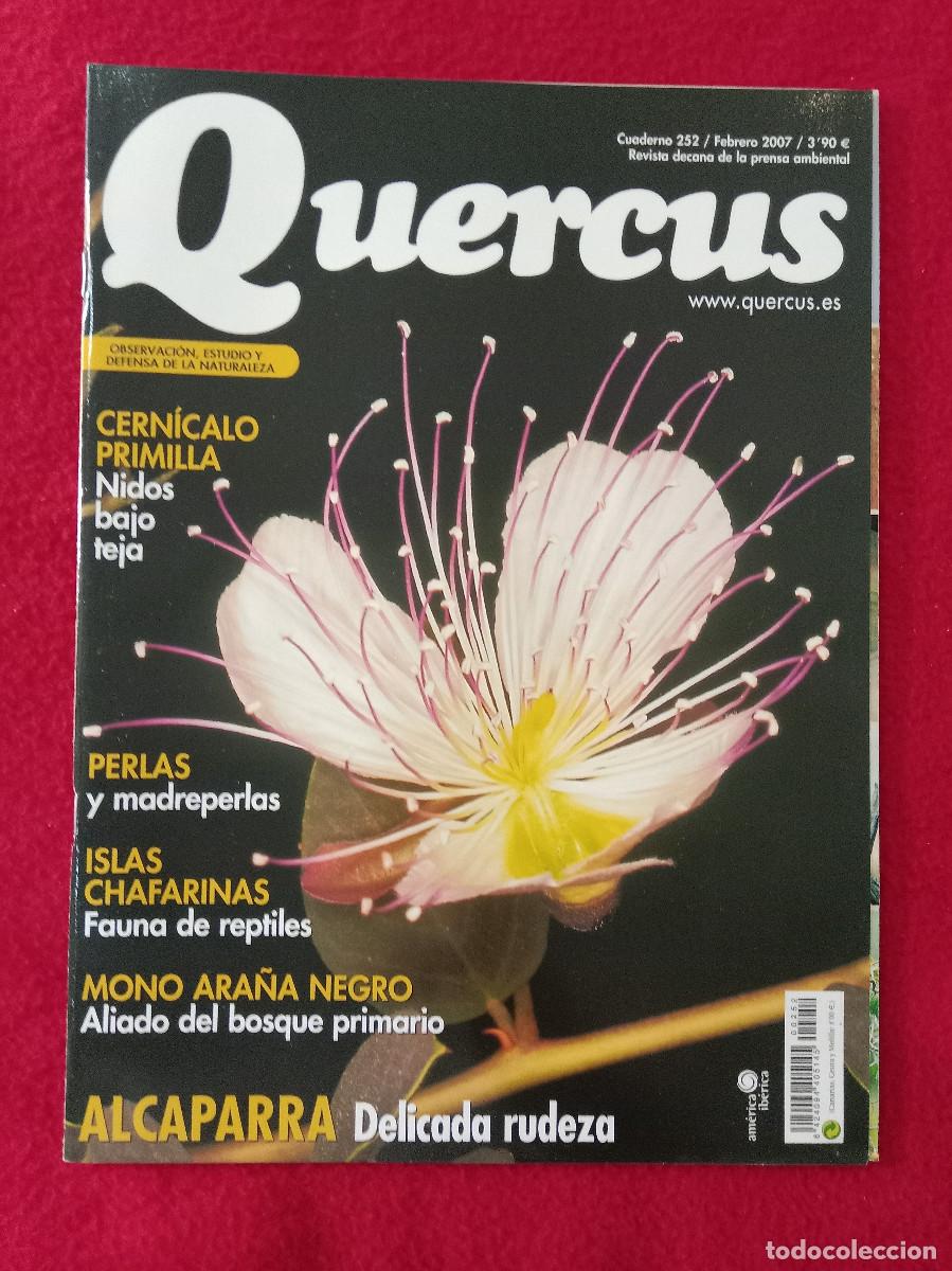 Coleccionismo de Revistas y Peri&oacute;dicos: Quercus - Alcaparra Delicada Rudeza - Cuaderno 252 - Febrero de 2007