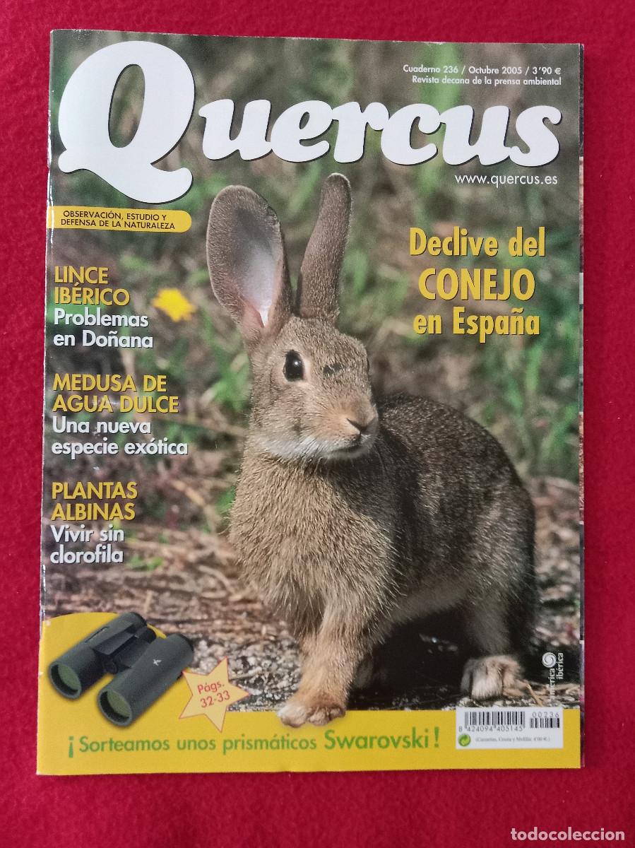 Coleccionismo de Revistas y Peri&oacute;dicos: Quercus - Declive del Conejo en Espa&ntilde;a - Cuaderno 236 - Octubre de 2005