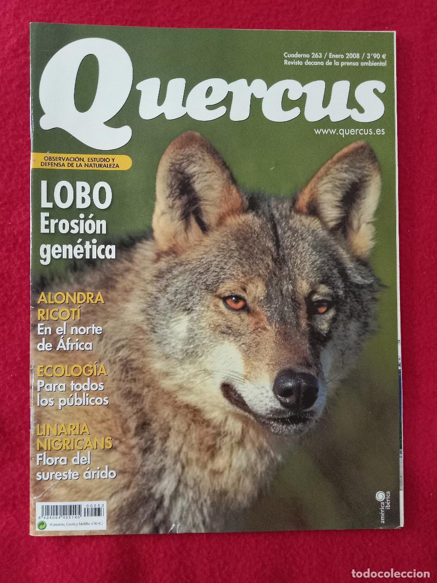 Sammeln von Zeitschriften und Zeitungen: Quercus - Lobo, Erosi&oacute;n Gen&eacute;tica - Cuaderno 263 - Enero de 2008