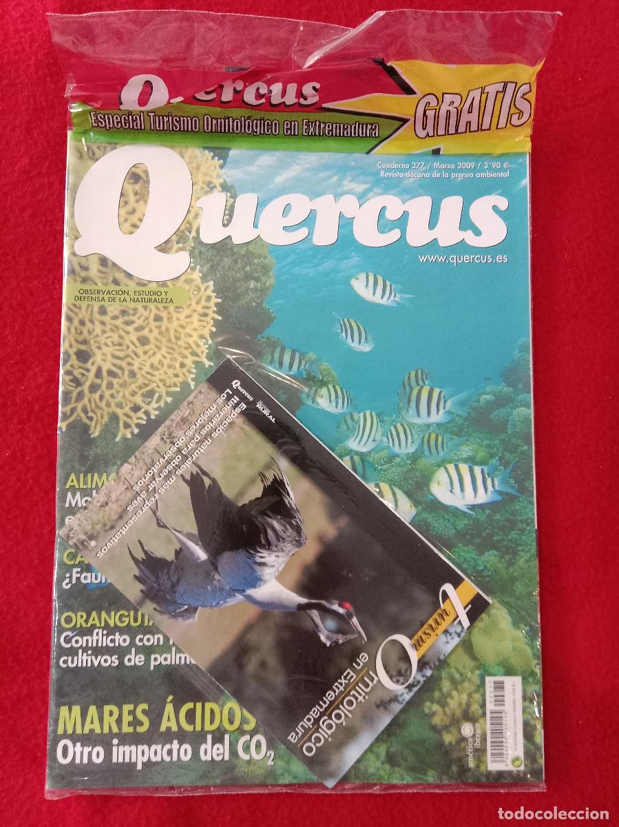 Collezionismo di Riviste e Giornali: Quercus - Mares &Aacute;cidos, Otro Impacto del CO2 - Cuaderno 277 - Marzo de 2009 - Precintado