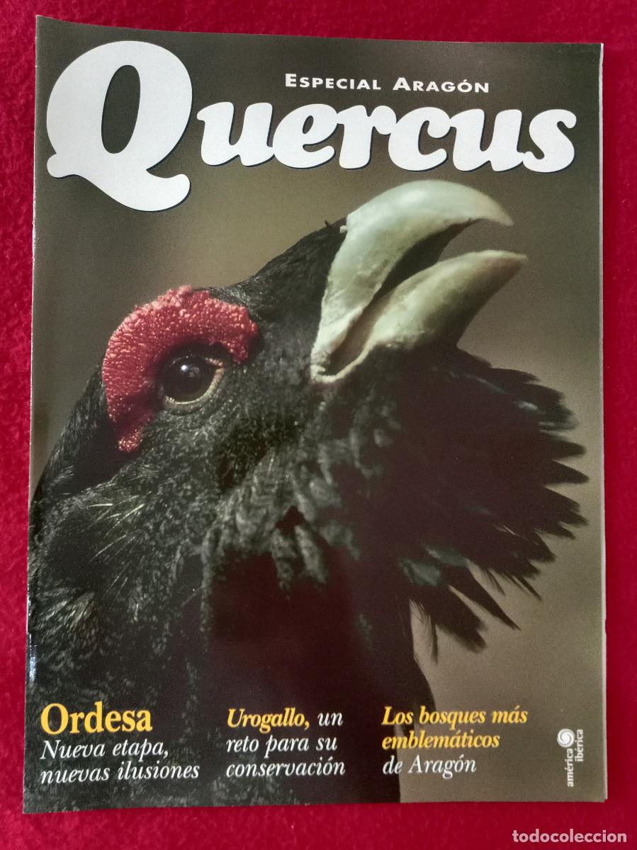 Coleccionismo de Revistas y Peri&oacute;dicos: Quercus - Especial Arag&oacute;n - Urogallo, un reto para su Conservaci&oacute;n