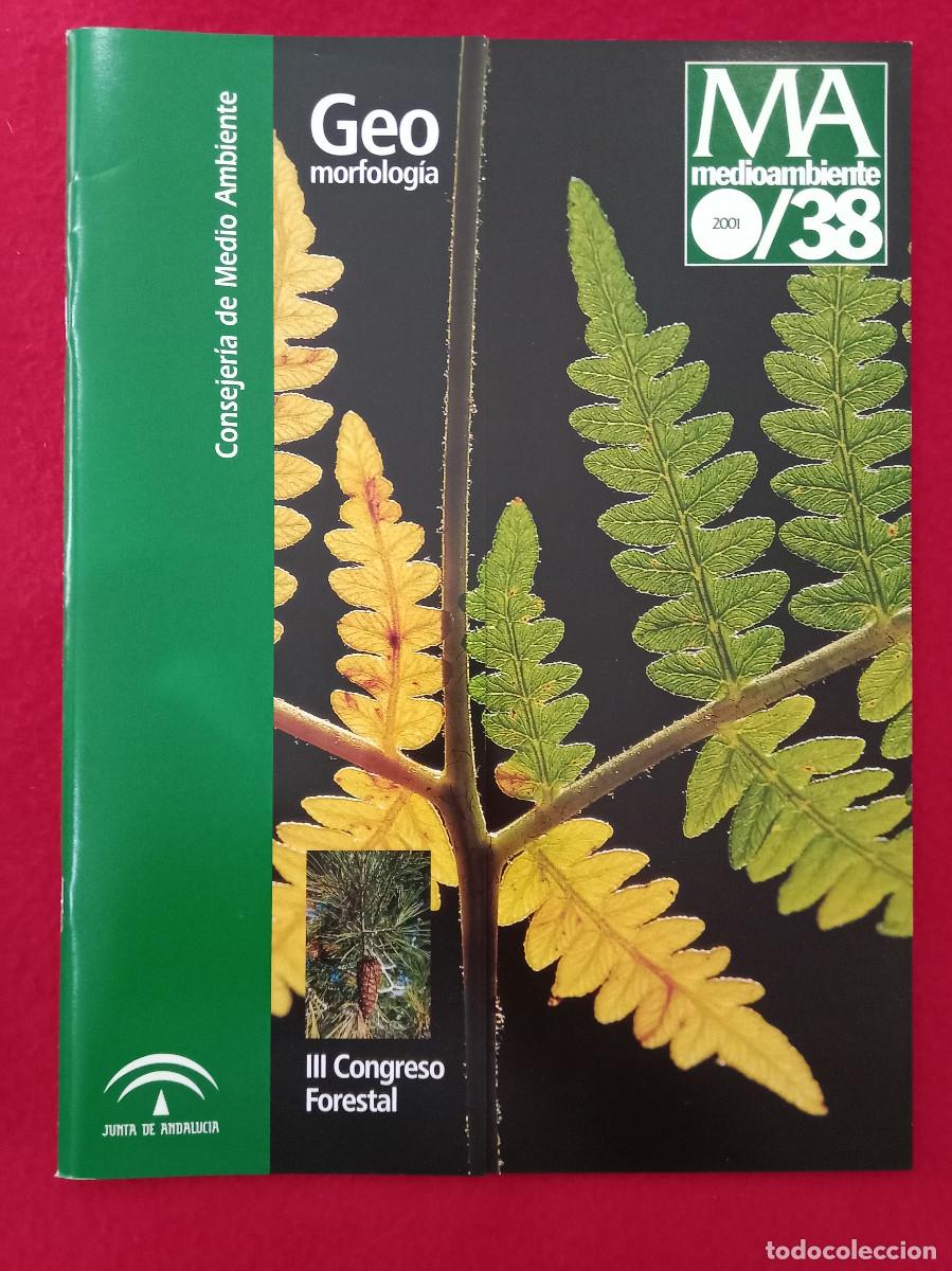Coleccionismo de Revistas y Peri&oacute;dicos: Medio Ambiente - GEO Morfolog&iacute;a - III Congreso Forestal - N&ordm;. 38 - Edit. CMA. 2001
