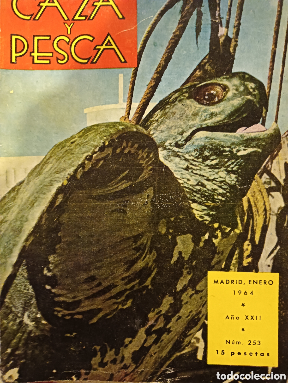 Collectionnisme de Revues et Journaux: Revista caza y pesca enero de 1964 n&uacute;mero 253
