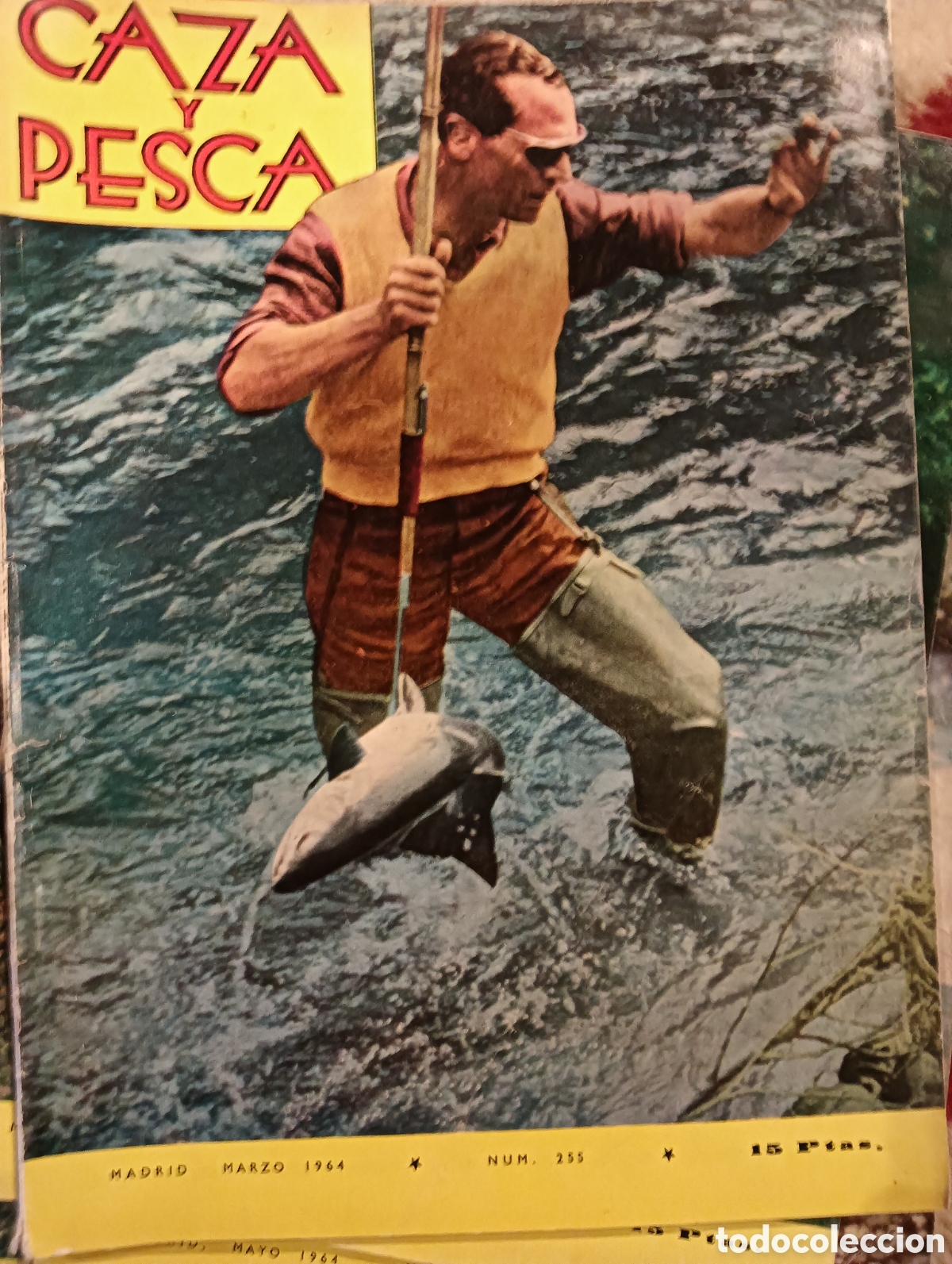 Coleccionismo de Revistas y Peri&oacute;dicos: Revista caza y pesca marzo de mil novecientos sesenta y cuatro n&uacute;mero doscientos cincuenta y cinco
