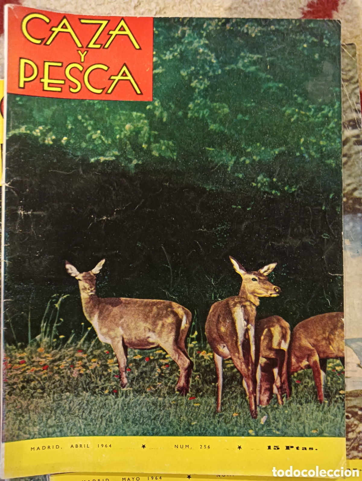Collezionismo di Riviste e Giornali: Revista caza y pesca abril de mil novecientos sesenta y cuatro n&uacute;mero doscientos cincuenta y seis