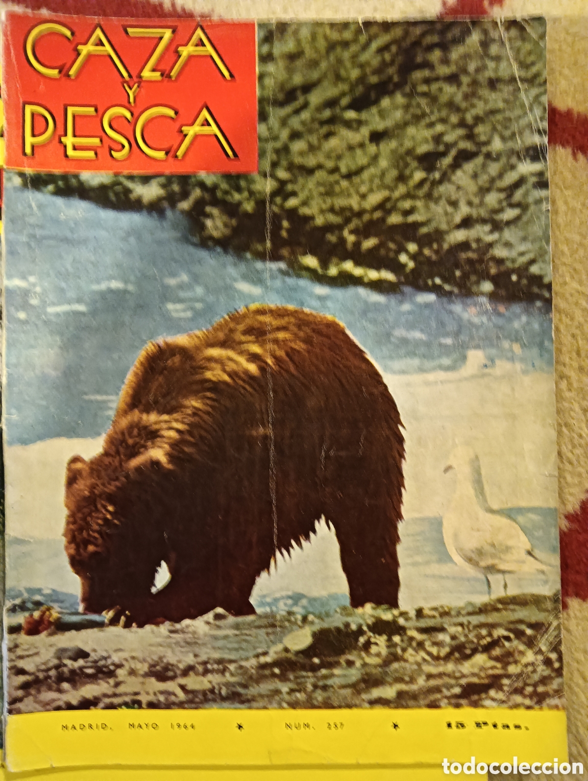 Colecionismo de Revistas e Jornais: Revista caza y pesca mayo de mil novecientos sesenta y cuatro n&uacute;mero dos doscienta y siete
