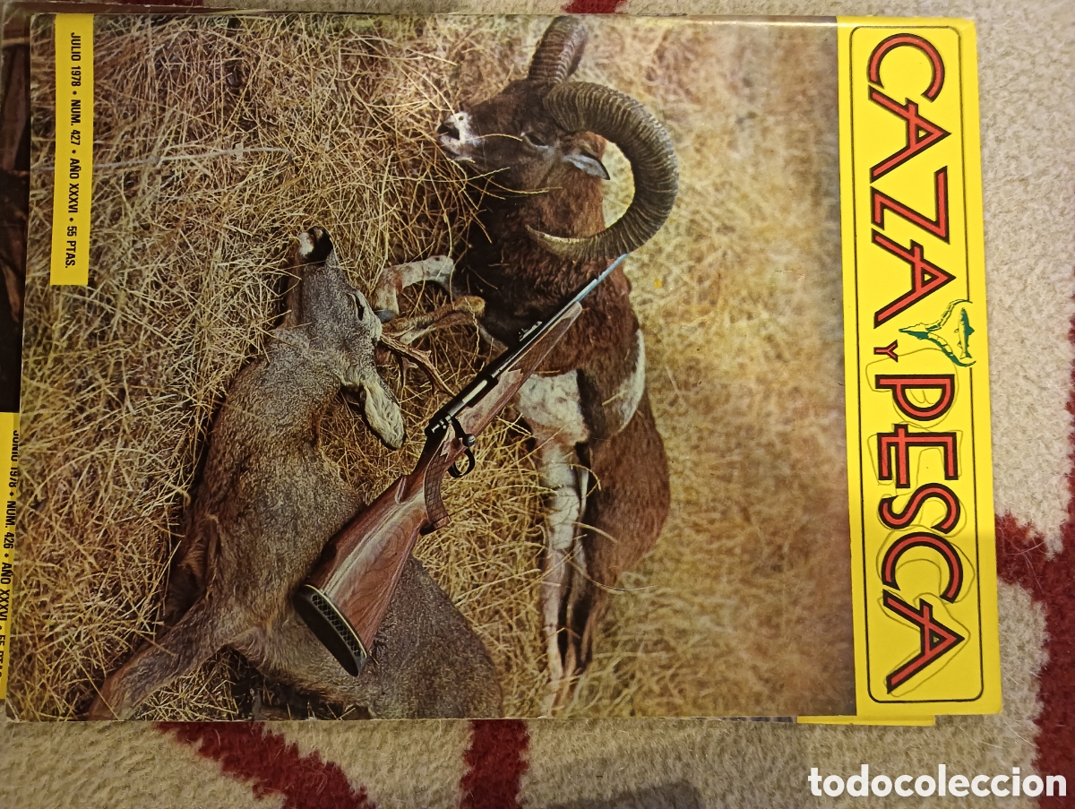 Coleccionismo de Revistas y Peri&oacute;dicos: Revista caza y pesca julio de 1978 n&uacute;mero 427