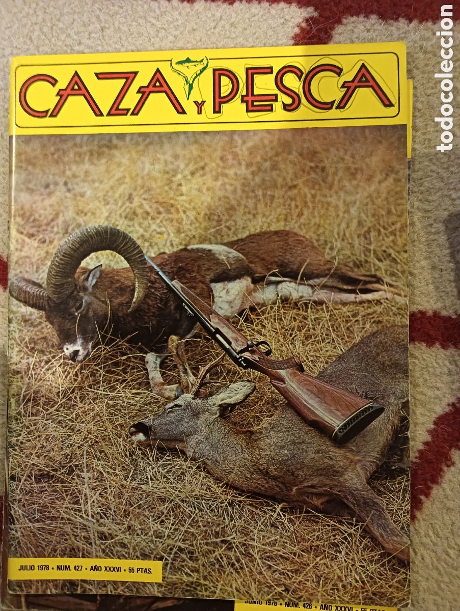 Coleccionismo de Revistas y Peri&oacute;dicos: Revista caza y pesca julio de 1978 n&uacute;mero 427