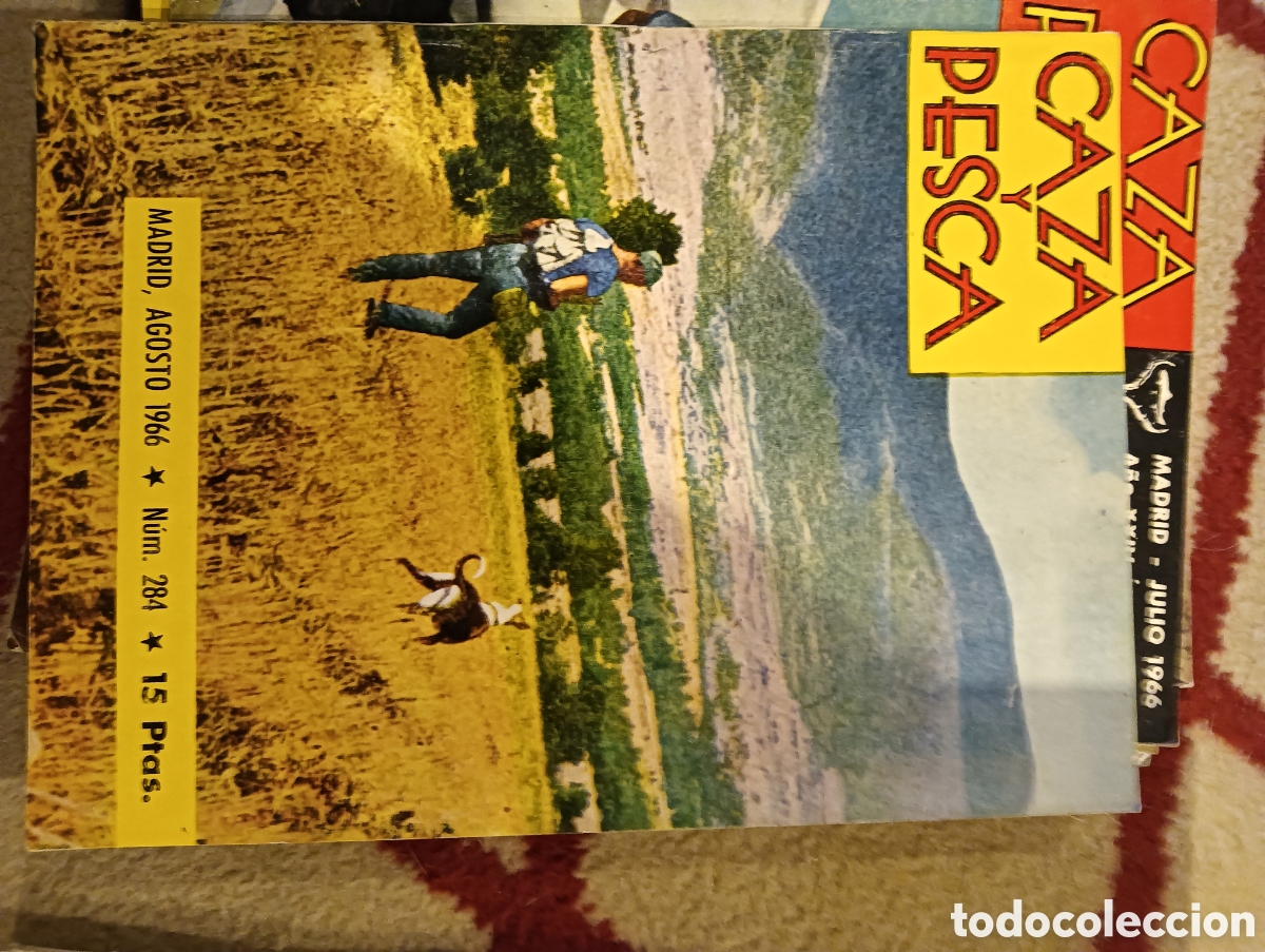 Coleccionismo de Revistas y Peri&oacute;dicos: Revista caza y pesca a gusto de mil novecientos sesenta y seis n&uacute;mero doscientos ochenta y cuatro