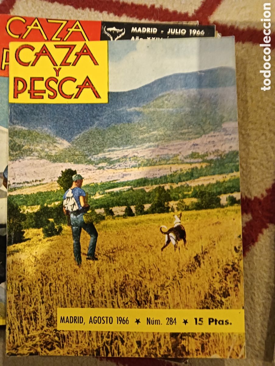 Coleccionismo de Revistas y Peri&oacute;dicos: Revista caza y pesca a gusto de mil novecientos sesenta y seis n&uacute;mero doscientos ochenta y cuatro