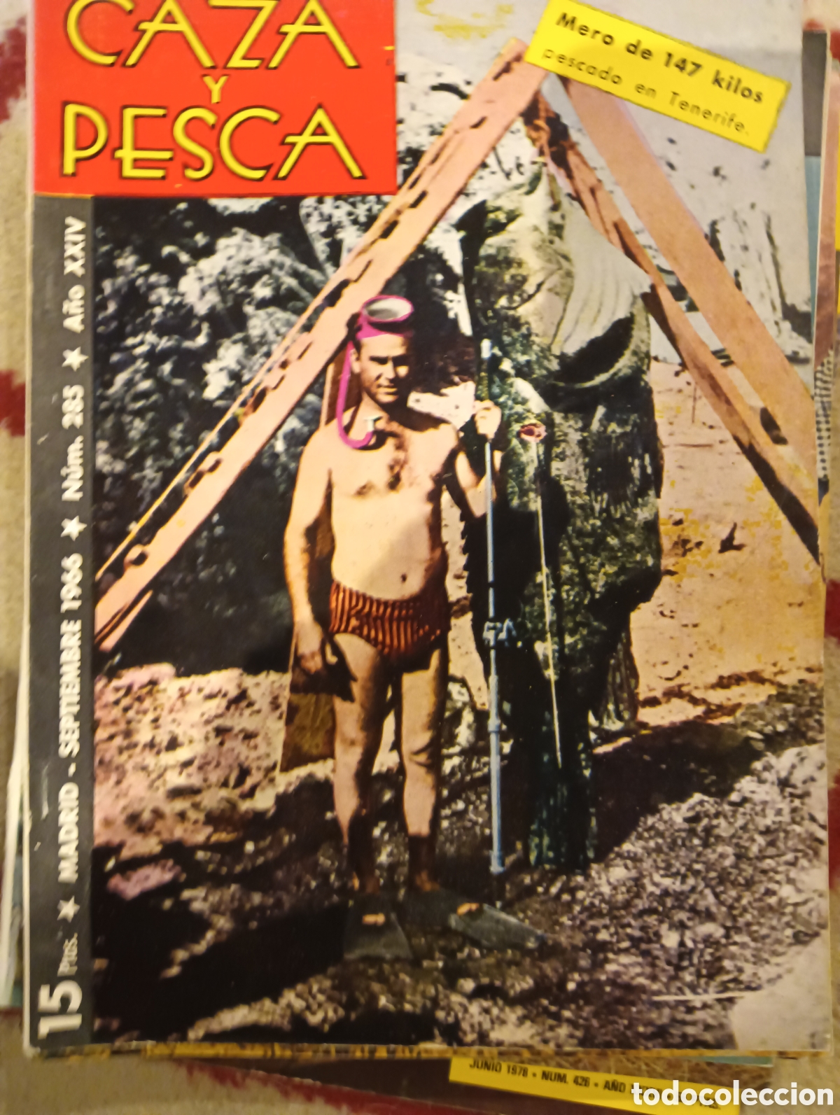 Coleccionismo de Revistas y Peri&oacute;dicos: Revista caza y pesca septiembre de mil novecientos sesenta y seis n&uacute;mero doscientos ochenta y cinco