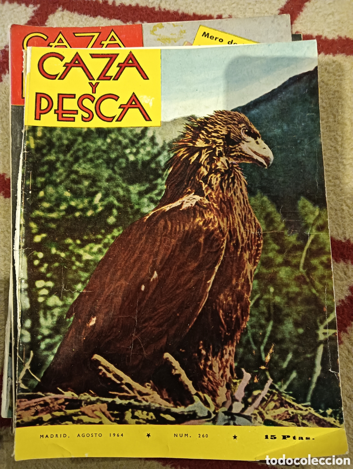 Coleccionismo de Revistas y Peri&oacute;dicos: Revista caza y pesca agosto de 1964 n&uacute;mero 260