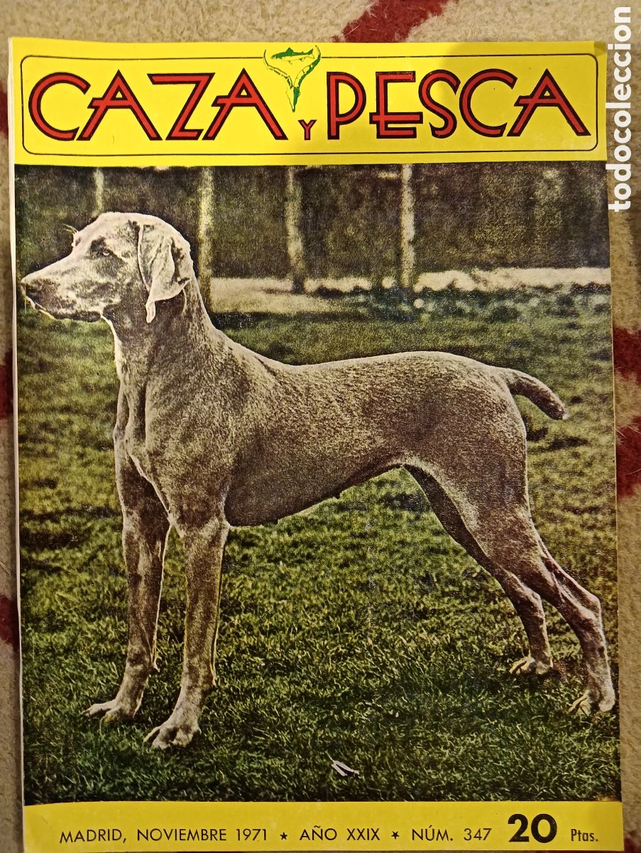 Collezionismo di Riviste e Giornali: Revista caza y pesca noviembre de mil novecientos setenta y uno n&uacute;mero trescientos cuarenta y siete