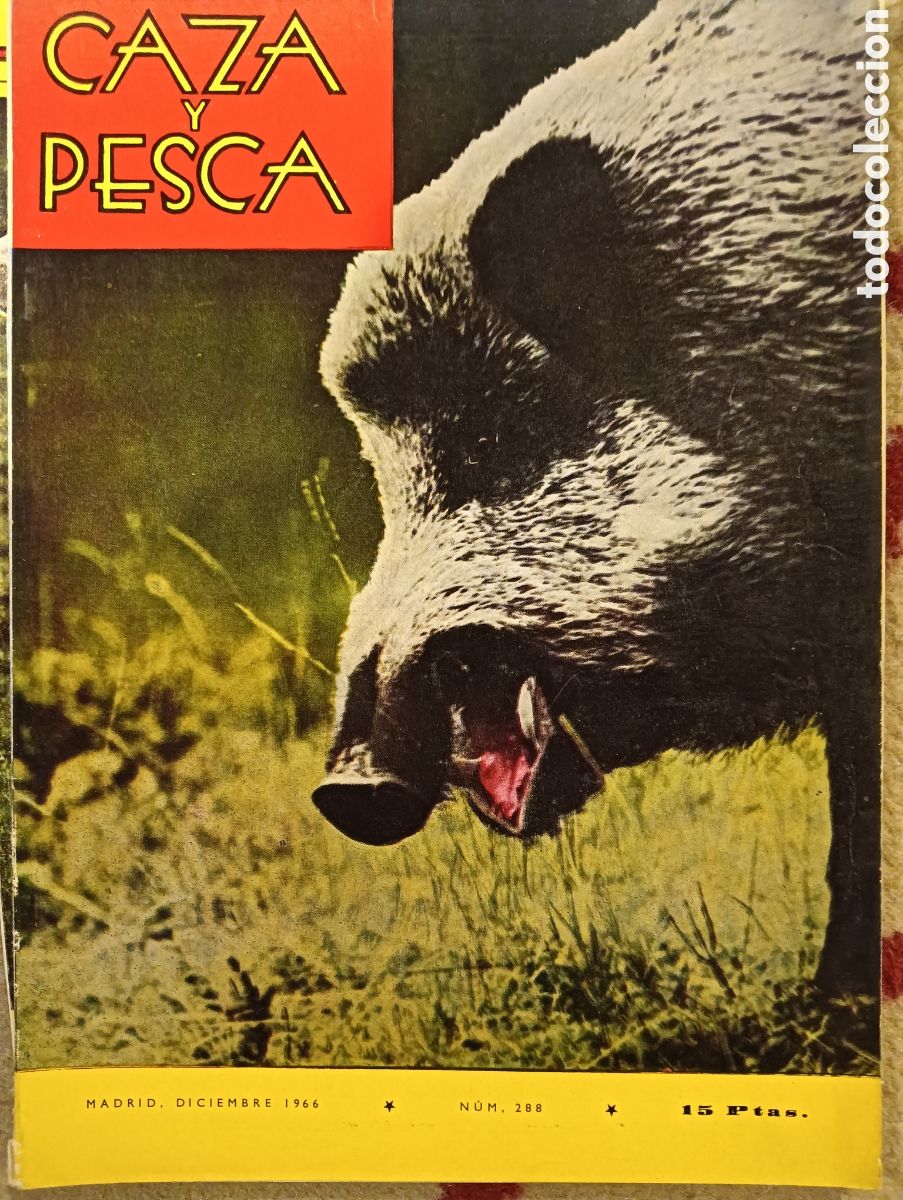Collezionismo di Riviste e Giornali: Revista caza y pesca diciembre de 1966 n&uacute;mero 288
