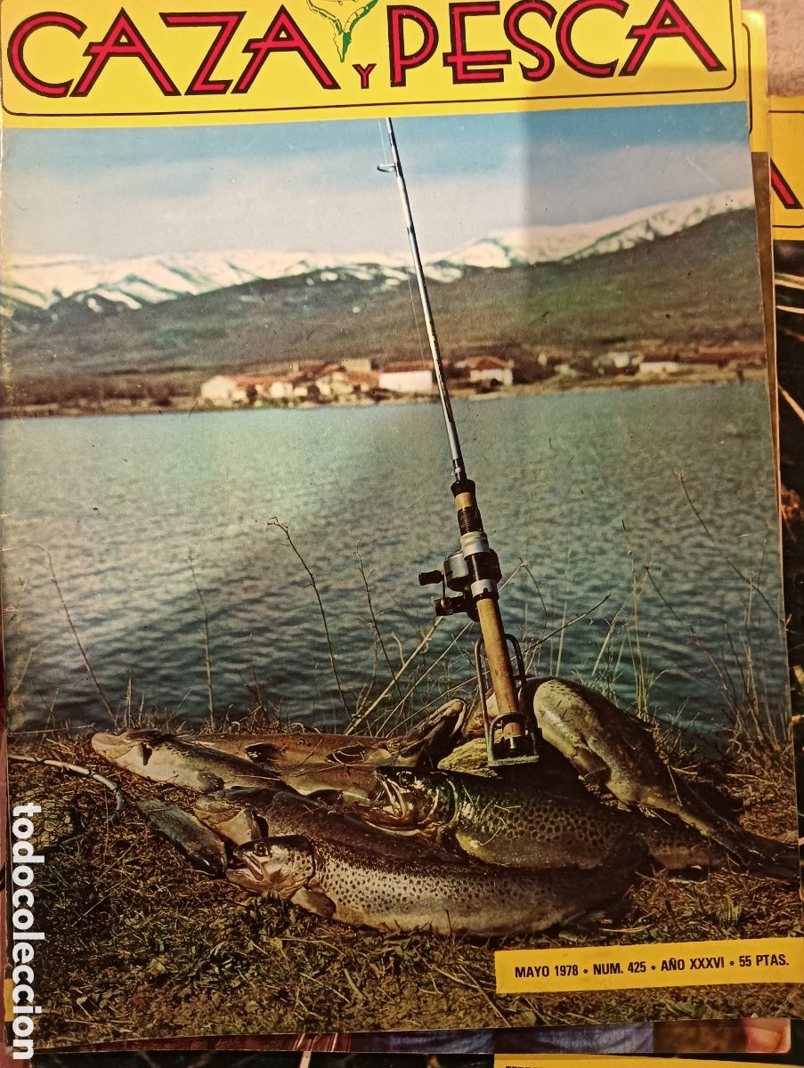Collezionismo di Riviste e Giornali: Revista caza y pesca mayo de 1978 n&uacute;mero 425