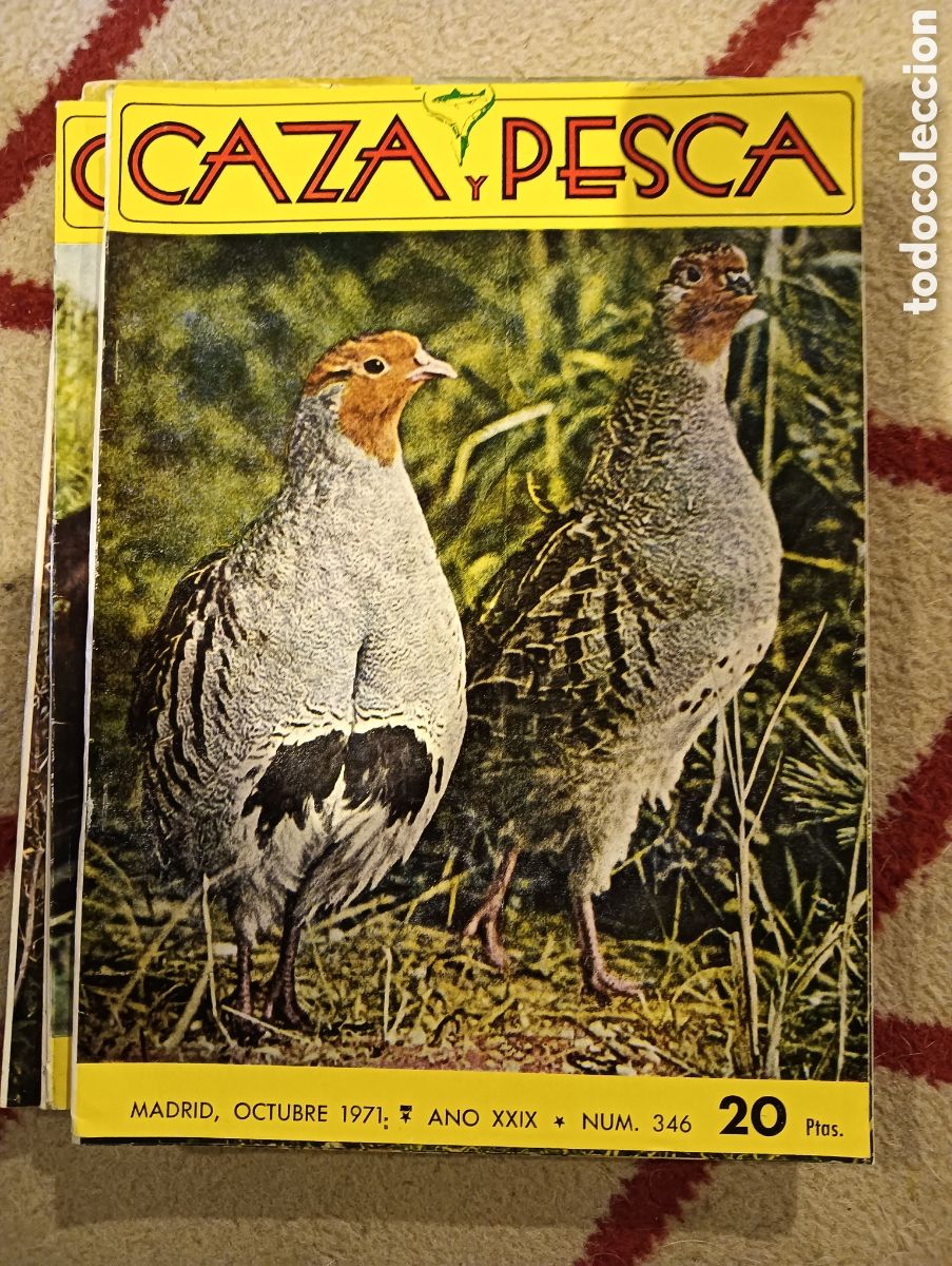 Collectionnisme de Revues et Journaux: Revista caza y pesca octubre de mil novecientos setenta y uno al n&uacute;mero trescientos cuarenta y seis