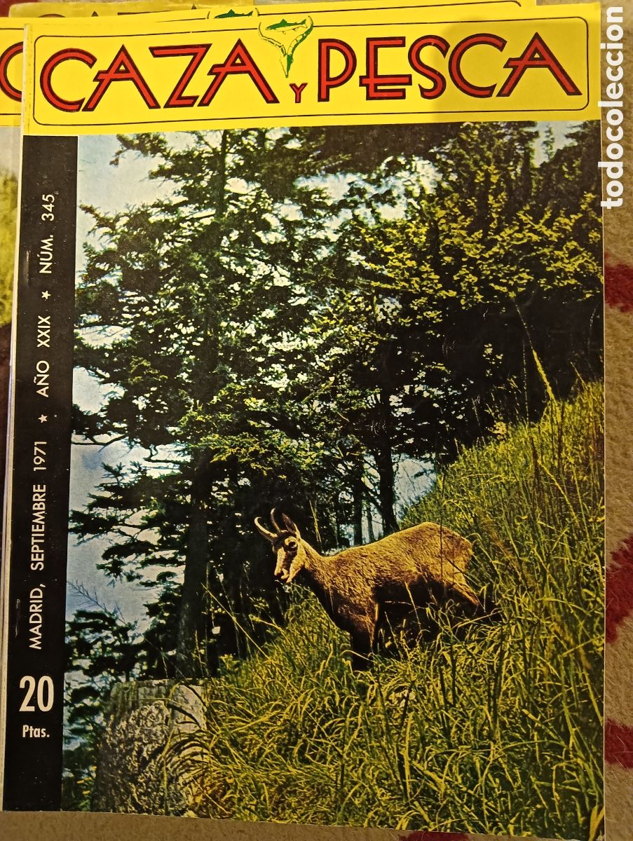 Collectionnisme de Revues et Journaux: Revista caza y pesca septiembre de 1971 n&uacute;mero 345