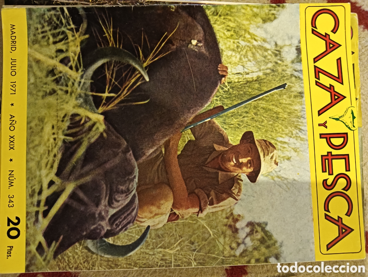 Coleccionismo de Revistas y Peri&oacute;dicos: Revista caza y pesca n&uacute;mero trescientos cuarenta y tres julio de 1971
