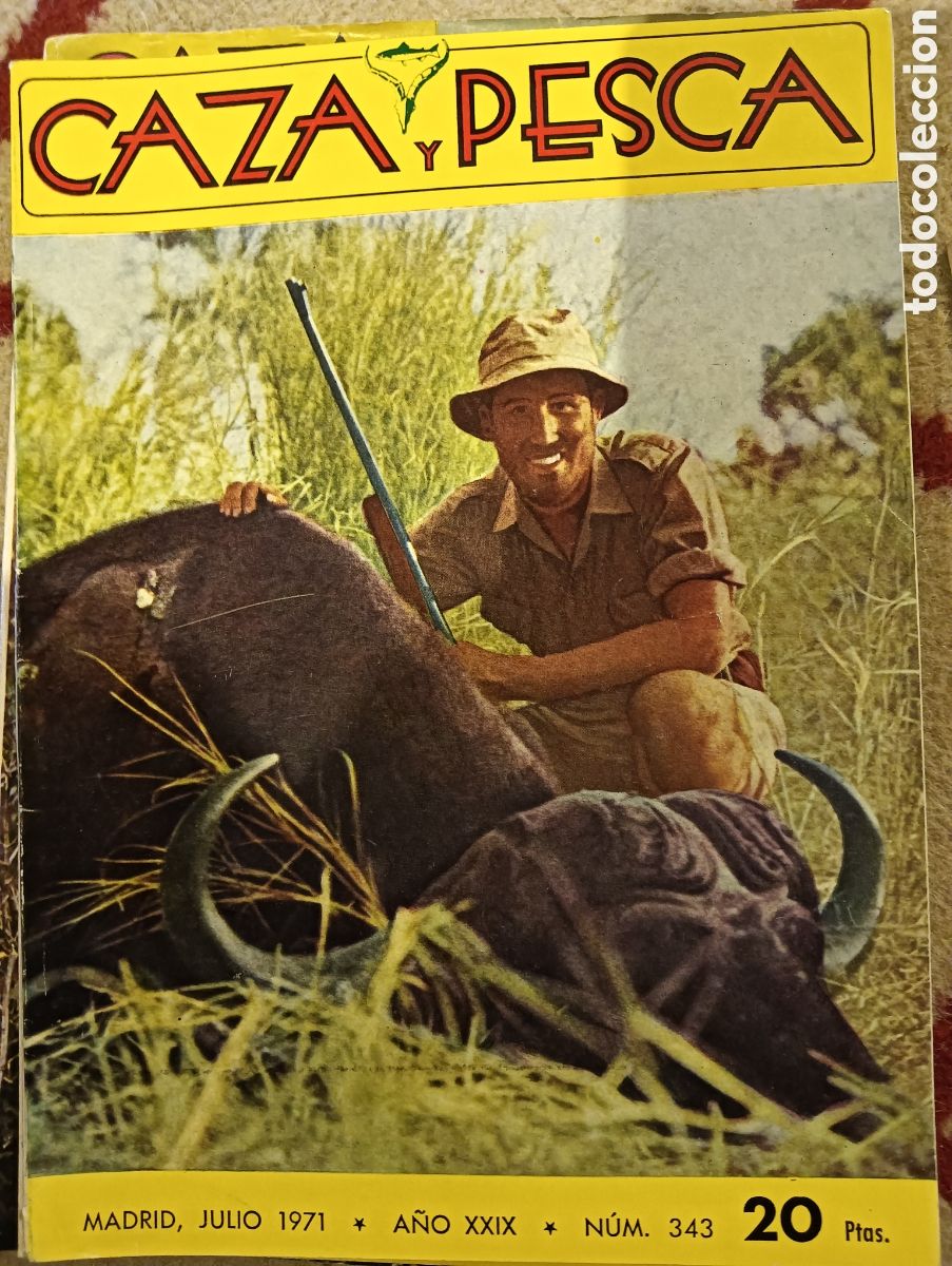 Coleccionismo de Revistas y Peri&oacute;dicos: Revista caza y pesca n&uacute;mero trescientos cuarenta y tres julio de 1971