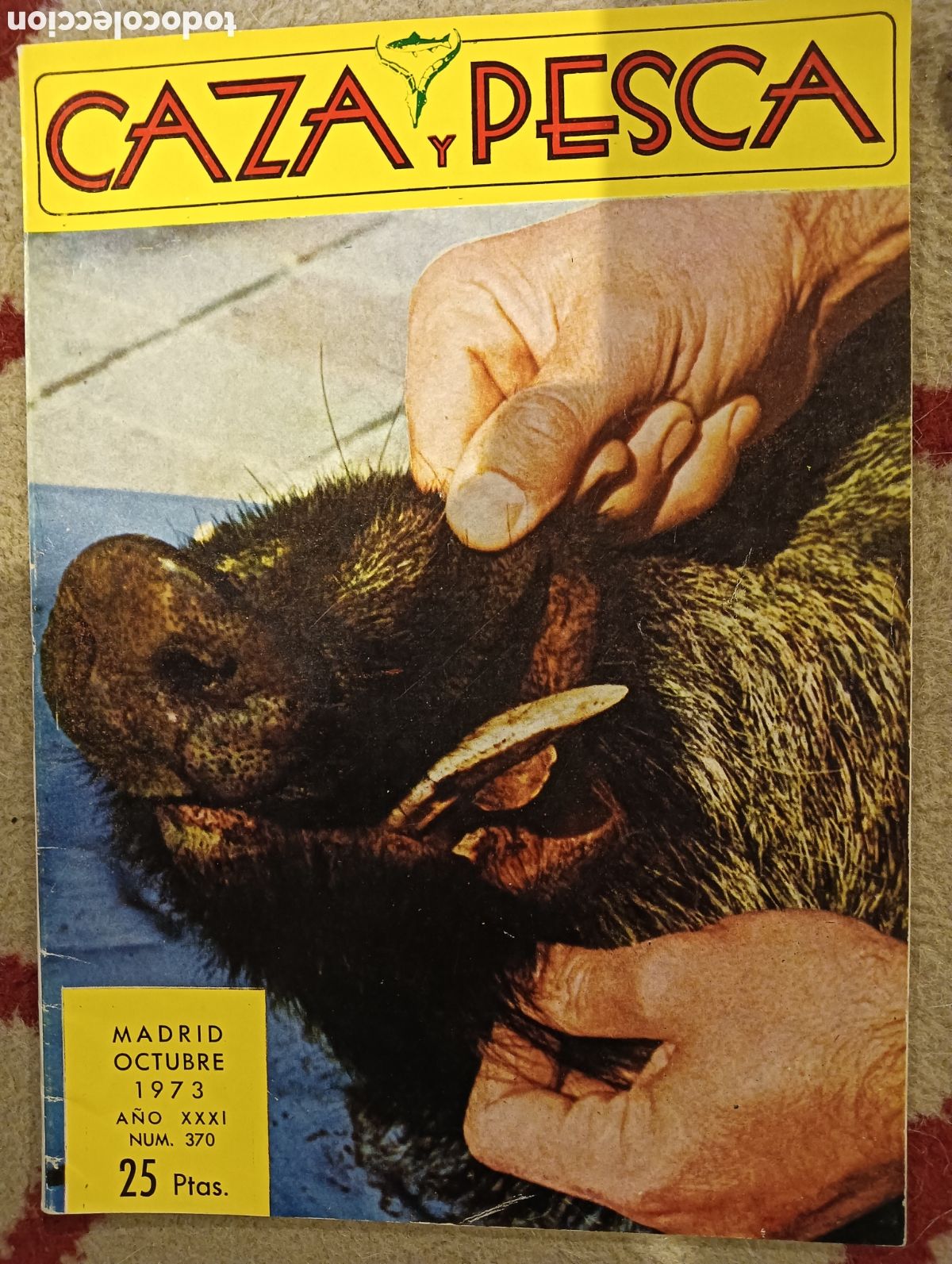 Coleccionismo de Revistas y Peri&oacute;dicos: Revista caza y pesca octubre de 1973 n&uacute;mero 370