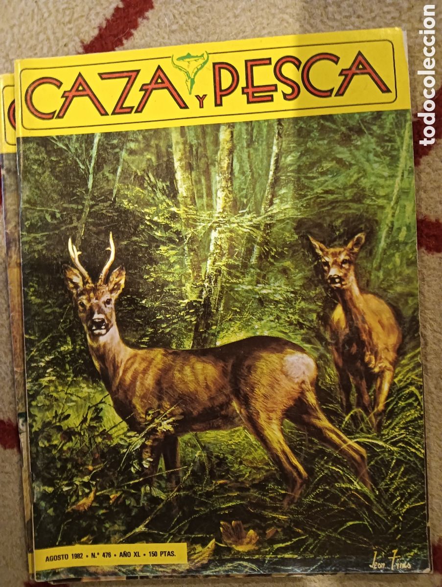 Coleccionismo de Revistas y Peri&oacute;dicos: Revista caza y pesca agosto de mil novecientos ochenta y dos n&uacute;mero cuatrocientos setenta y seis