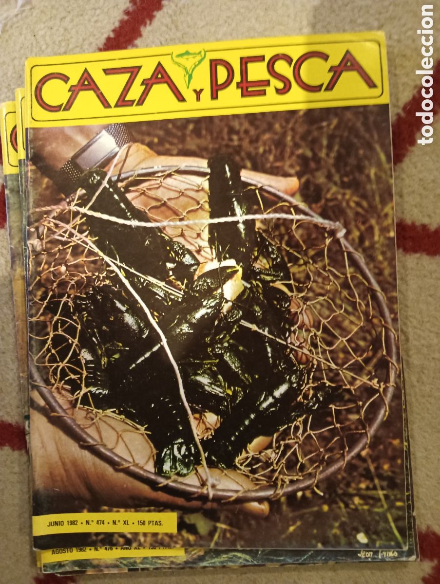 Coleccionismo de Revistas y Peri&oacute;dicos: Revista caza y pesca junio de 1982 n&uacute;mero cuatrocientos setenta y cuatro