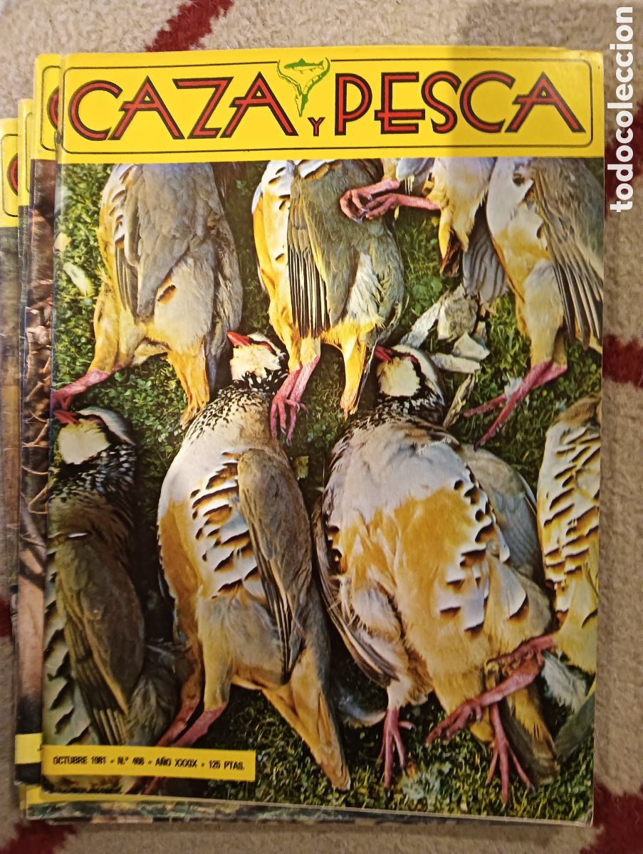Coleccionismo de Revistas y Peri&oacute;dicos: Revista caza y pesca octubre de mil novecientos ochenta y uno n&uacute;mero cuatrocientos sesenta y seis