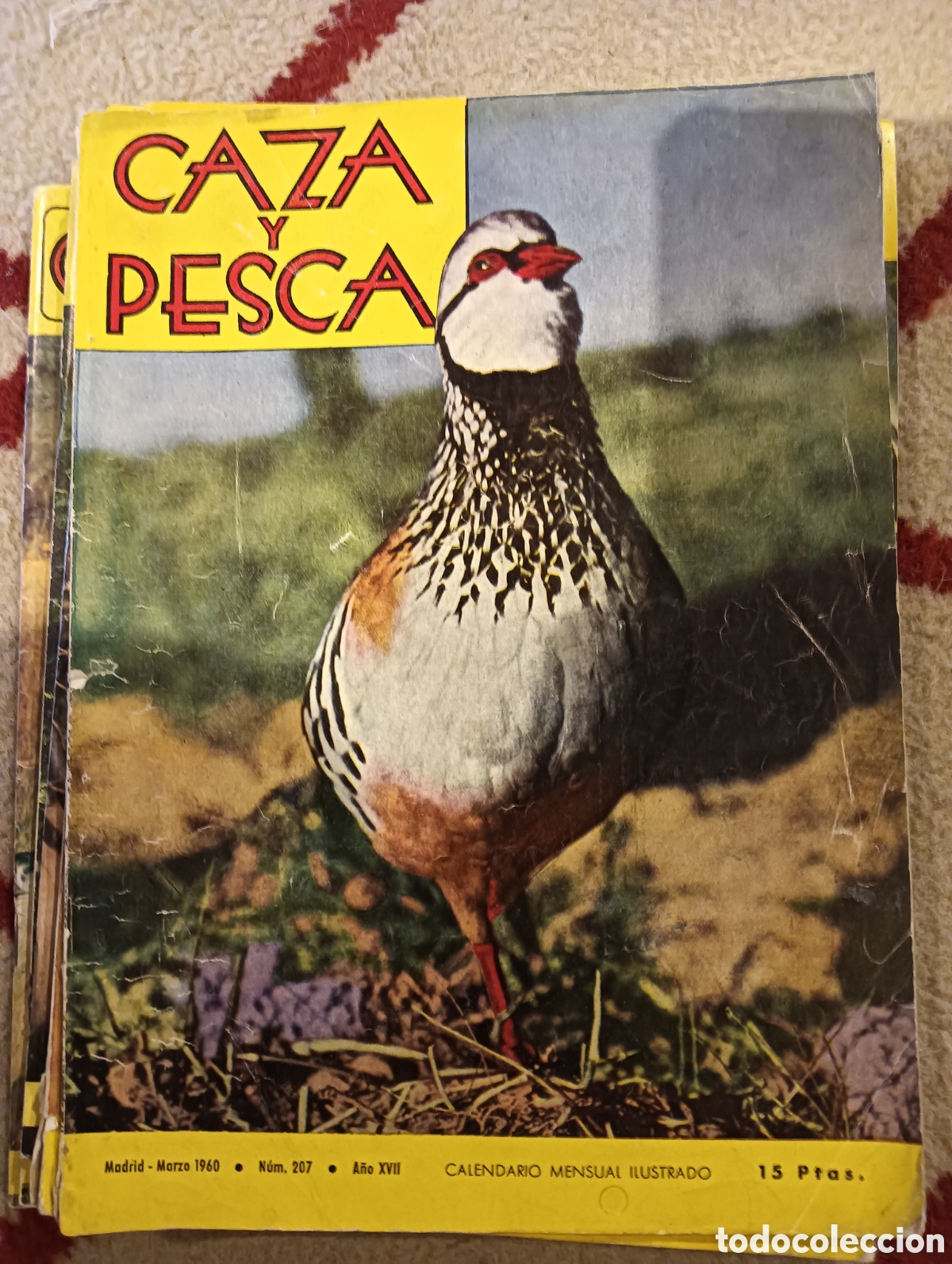 Coleccionismo de Revistas y Peri&oacute;dicos: Revista caza y pesca marzo de mil novecientos sesenta n&uacute;mero 207