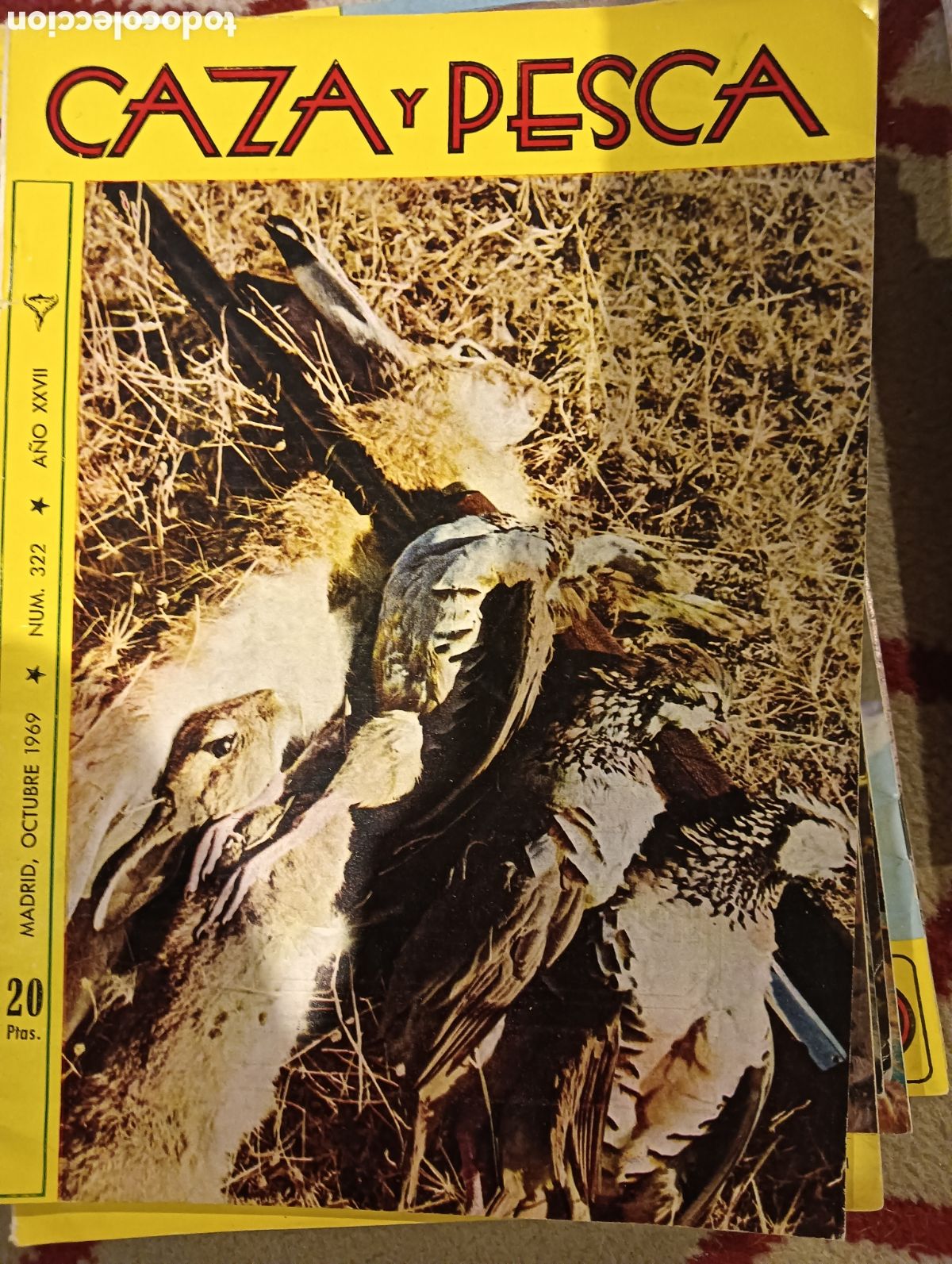 Coleccionismo de Revistas y Peri&oacute;dicos: Revista caza y pesca octubre 1969 n&uacute;mero 322
