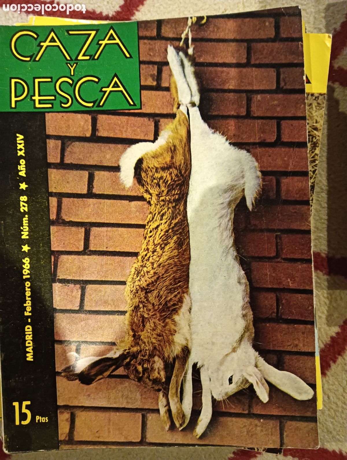 Coleccionismo de Revistas y Peri&oacute;dicos: Revista caza y pesca febrero mil novecientos sesenta y seis numero doscientos setenta y ocho