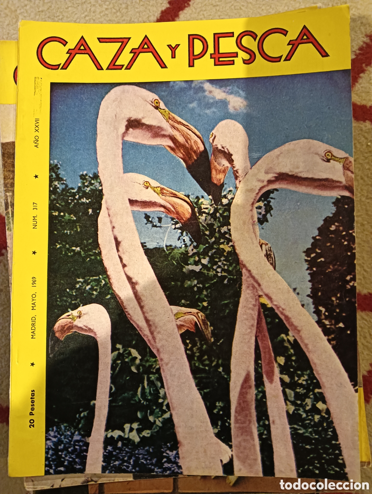 Coleccionismo de Revistas y Peri&oacute;dicos: Revista caza y pesca mayo de mil novecientos sesenta y nueve n&uacute;mero trescientos diecisiete