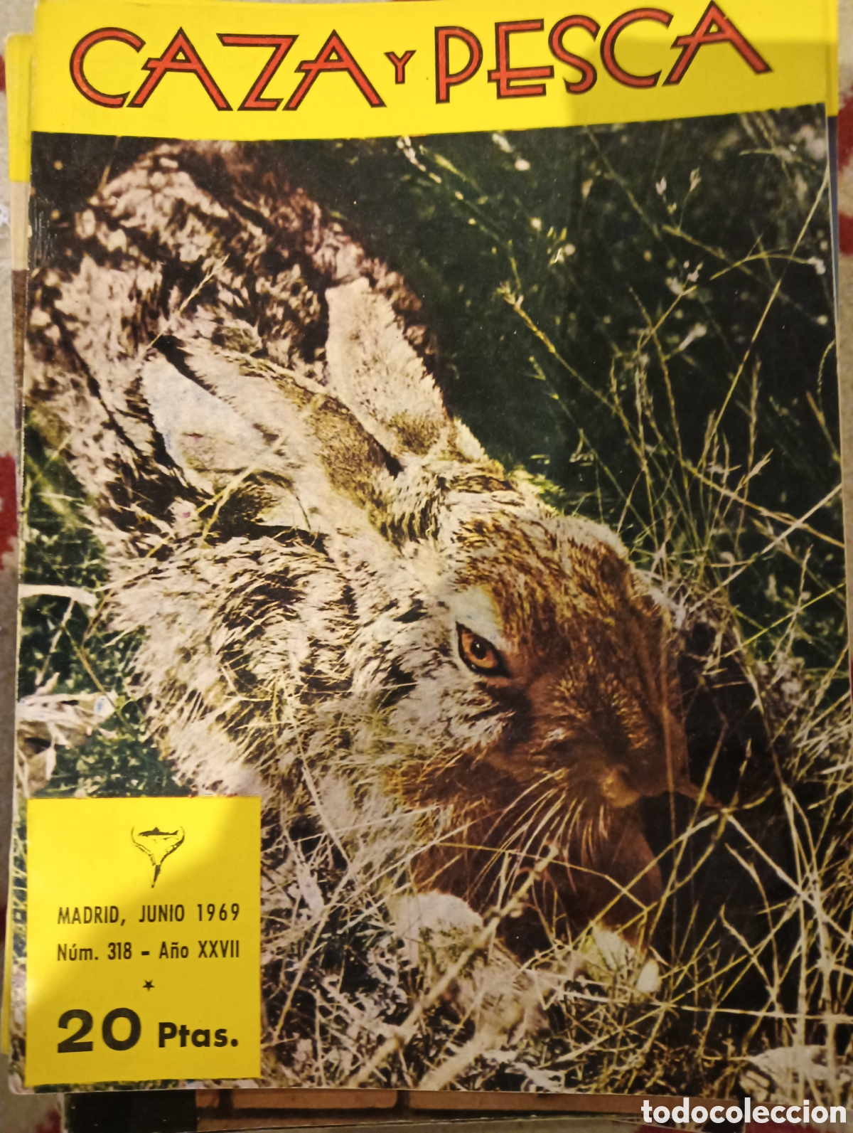 Coleccionismo de Revistas y Peri&oacute;dicos: Revista caza y pesca junio mil novecientos sesenta y nueve numero trescientos dieciocho 318