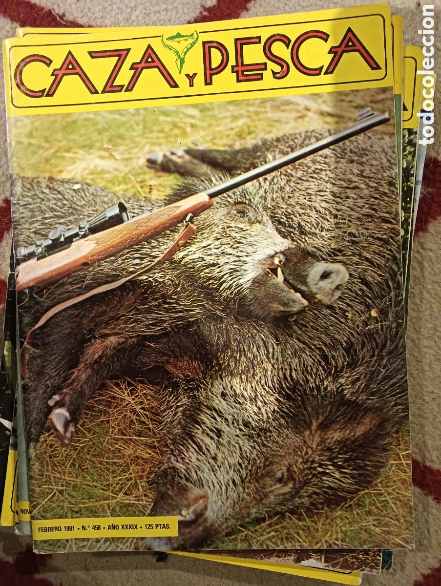 Coleccionismo de Revistas y Peri&oacute;dicos: Caza y pesca febrero en 1981 n&uacute;mero 458
