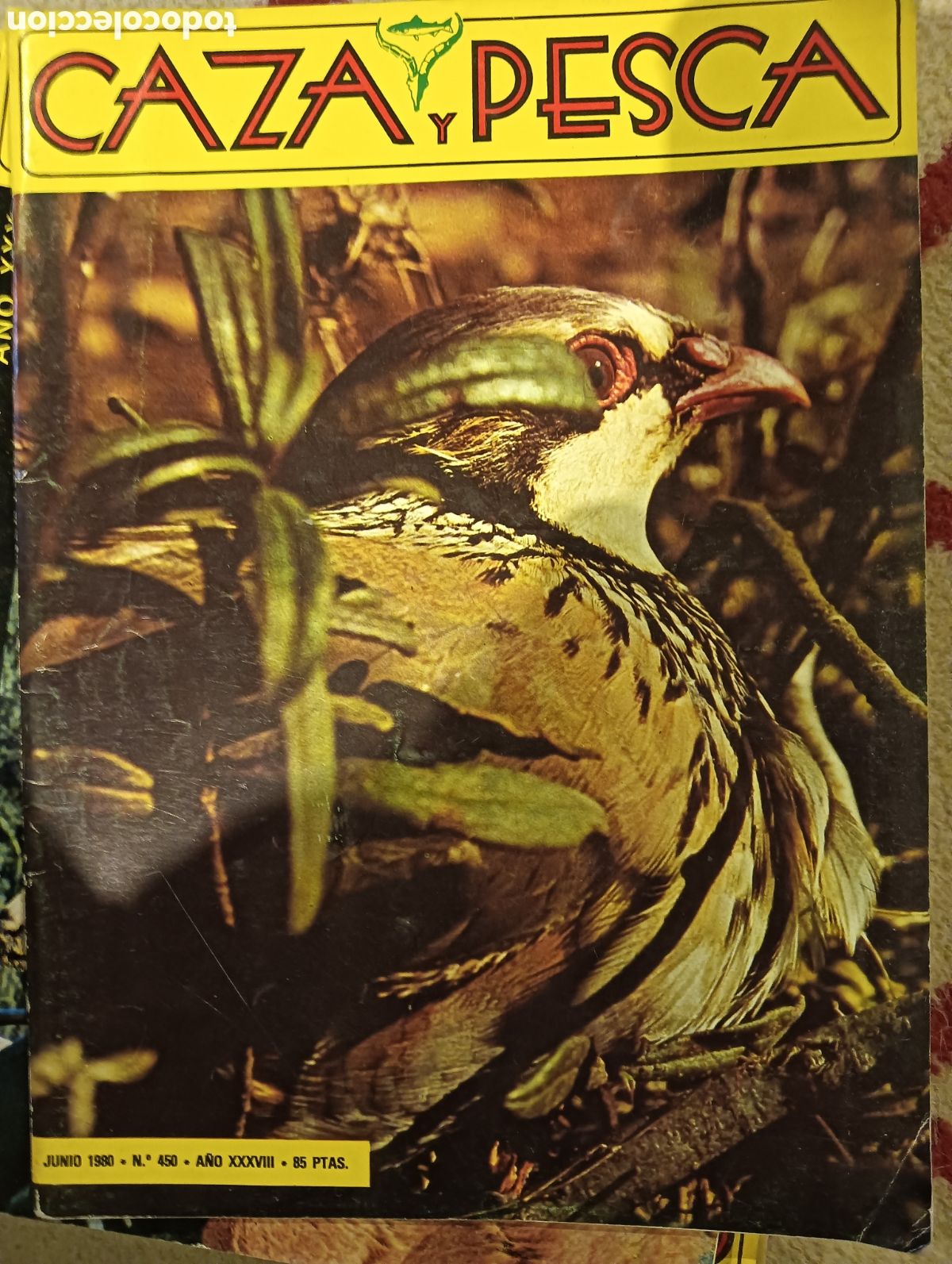 Collezionismo di Riviste e Giornali: Revista caza y pesca junio de 1980 n&uacute;mero 450