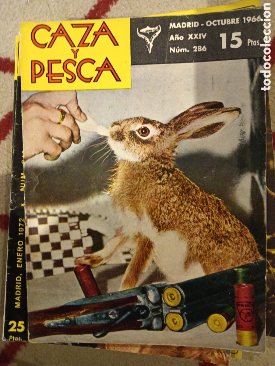 Coleccionismo de Revistas y Peri&oacute;dicos: Revista caza y pesca octubre de 1966 n&uacute;mero 286
