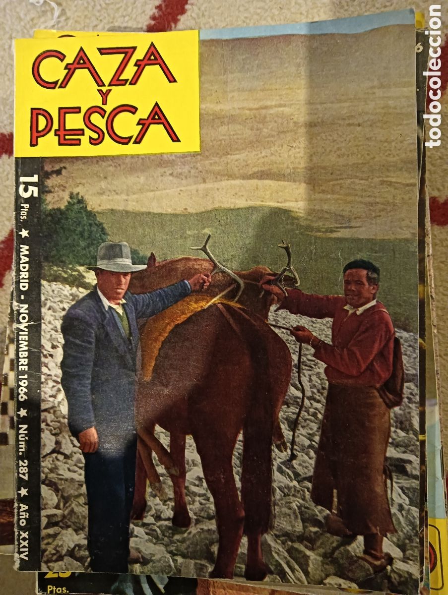 Coleccionismo de Revistas y Peri&oacute;dicos: Revista caza y pesca en noviembre de 1966 n&uacute;mero 287