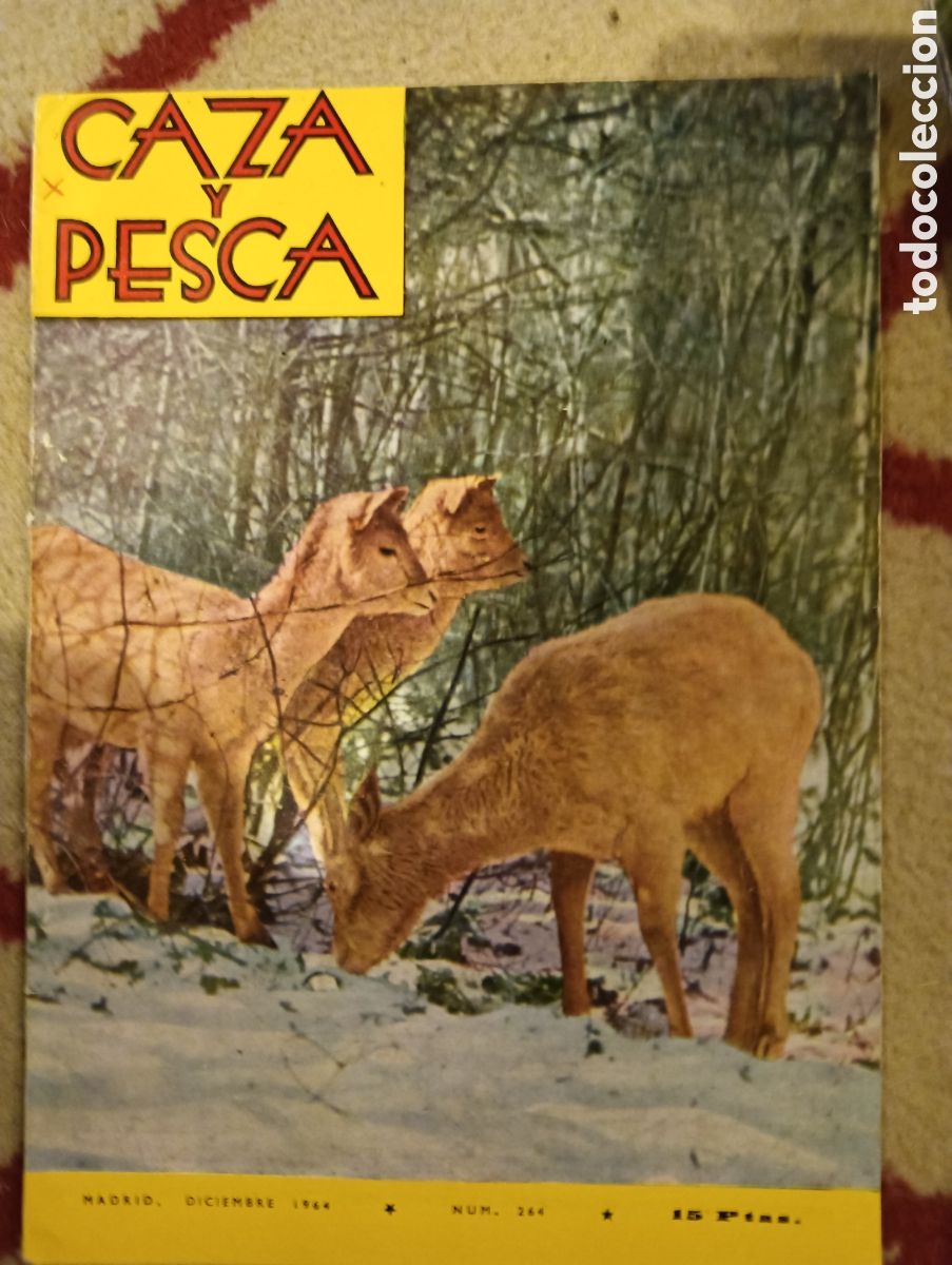 Colecionismo de Revistas e Jornais: Revista caza y pesca diciembre de 1964 n&uacute;mero doscientos sesenta y cuatro 264