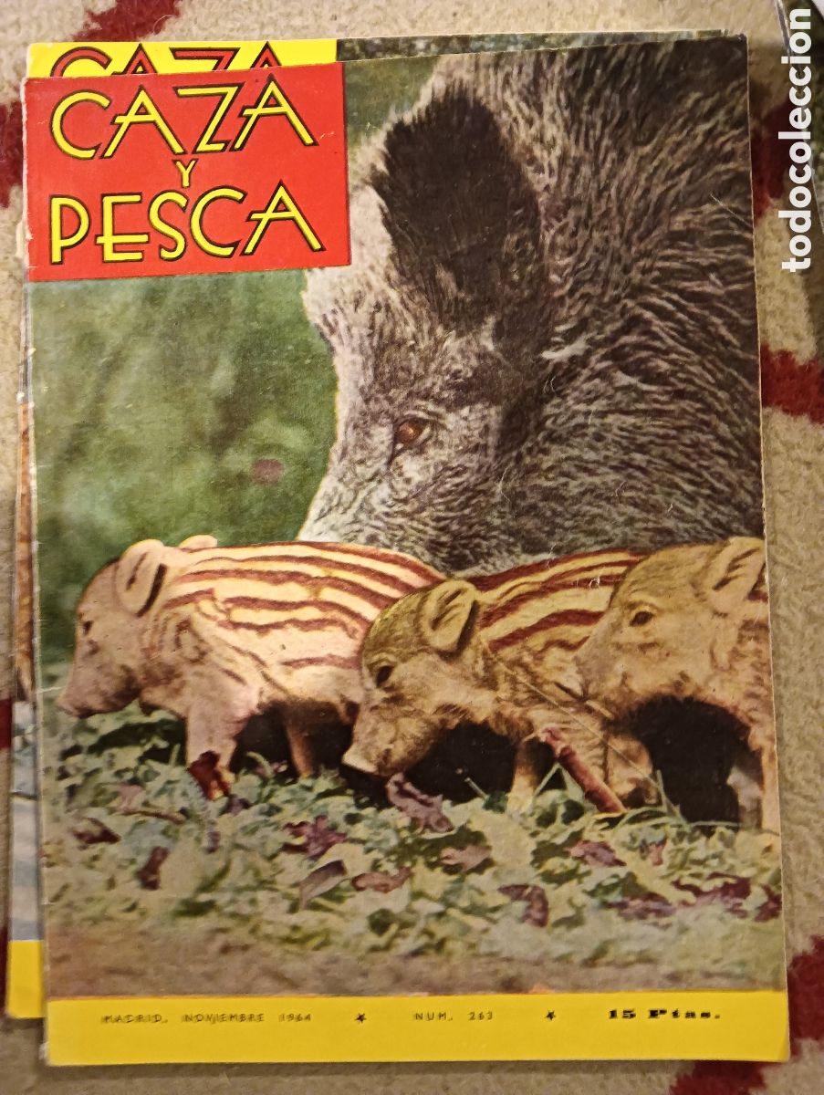 Coleccionismo de Revistas y Peri&oacute;dicos: Revista caza y pesca noviembre de mil novecientos sesenta y cuatro n&uacute;mero doscientos sesenta y tres