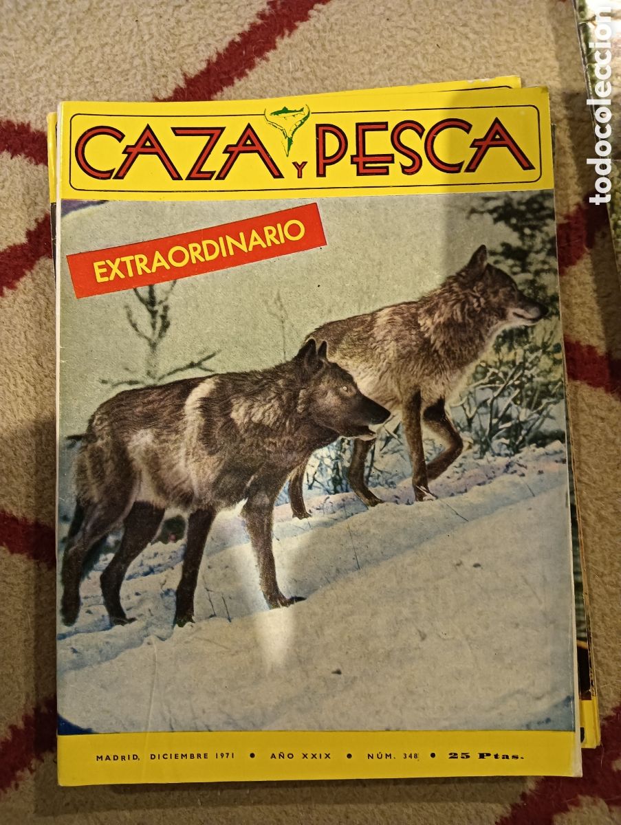 Coleccionismo de Revistas y Peri&oacute;dicos: Revista caza y pesca diciembre de mil novecientos setenta y uno numero trescientos cuarenta y ocho