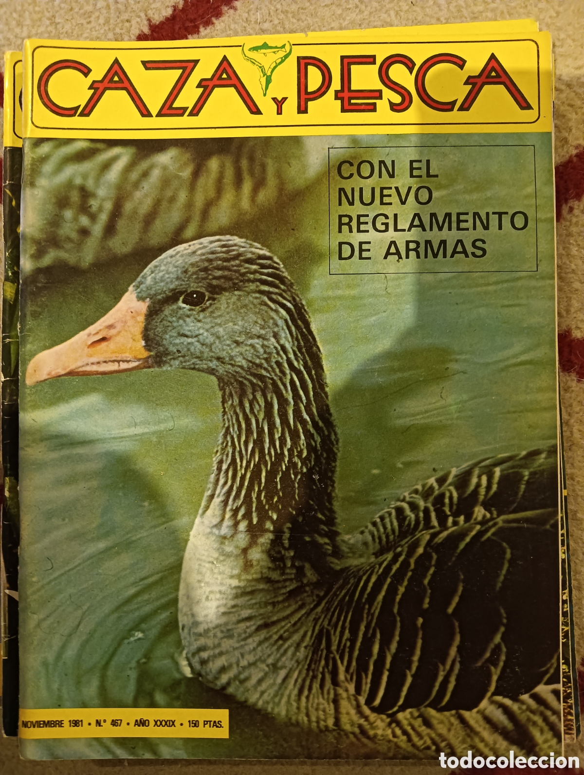 Coleccionismo de Revistas y Peri&oacute;dicos: Revista caza y pesca noviembre de 1981 n&uacute;mero cuatrocientos sesenta y siete 467
