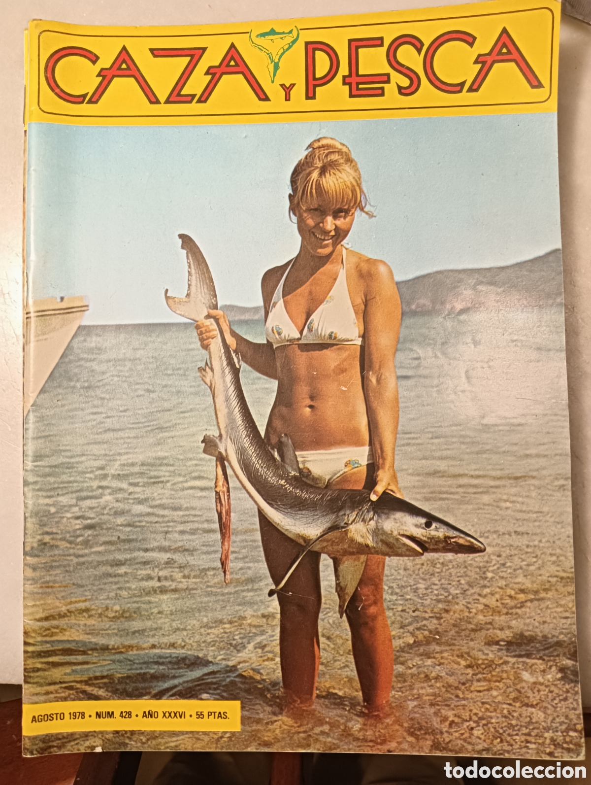 Coleccionismo de Revistas y Peri&oacute;dicos: Revista caza y pesca agosto 1978 n&uacute;mero 428
